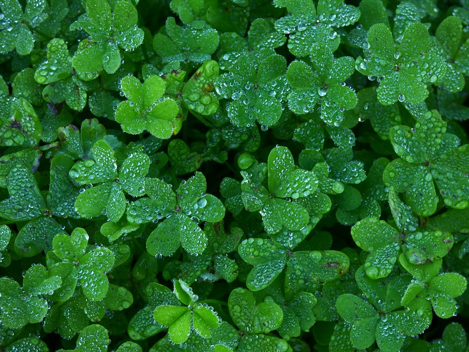 9 Ways to Bring More Luck Into Your Life