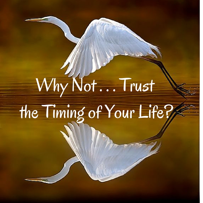 Why Not . . . Trust the Timing of Your Life?