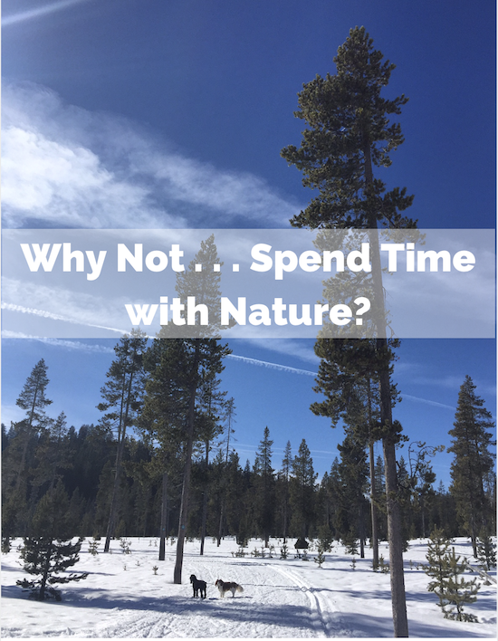 Why Not . . . Spend Time with Nature?