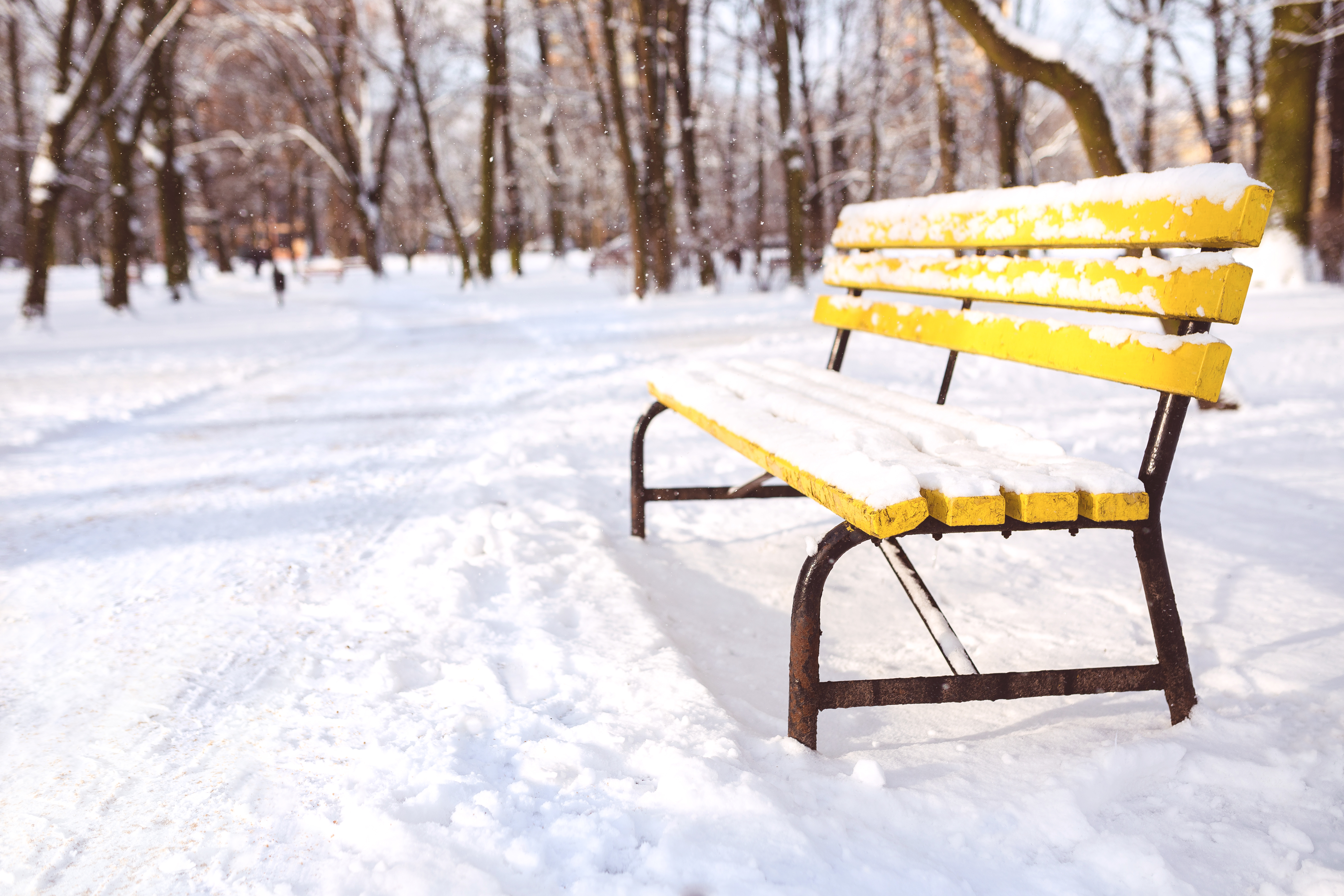 11 Ways to Savor a Snow Day