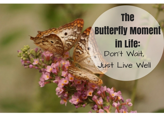 160: The Butterfly Moment in Life: Don’t Wait, Just Live Well