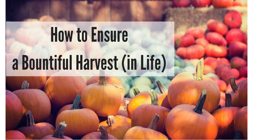 177: How to Ensure a Bountiful Harvest (in Life)