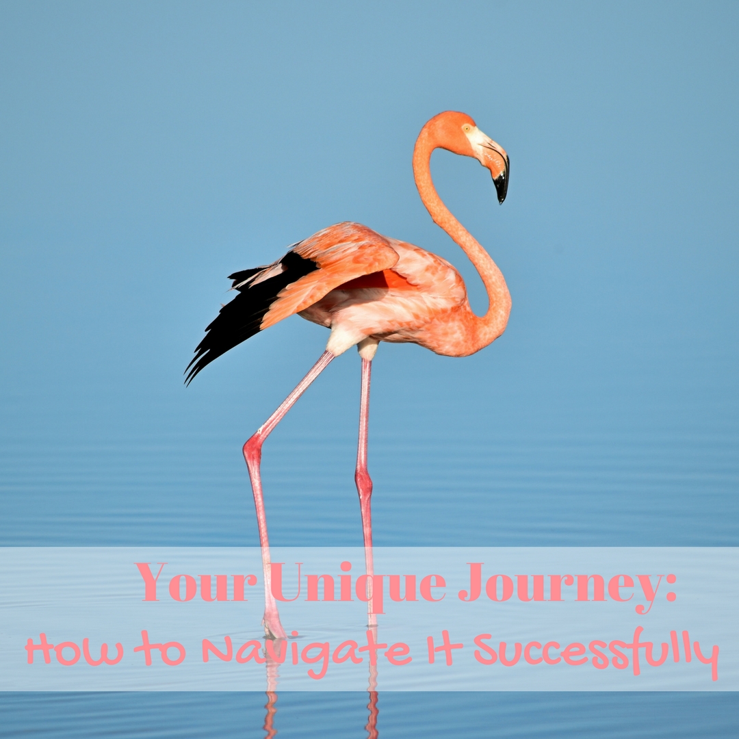 178: Your Unique Journey — How to Navigate It Successfully