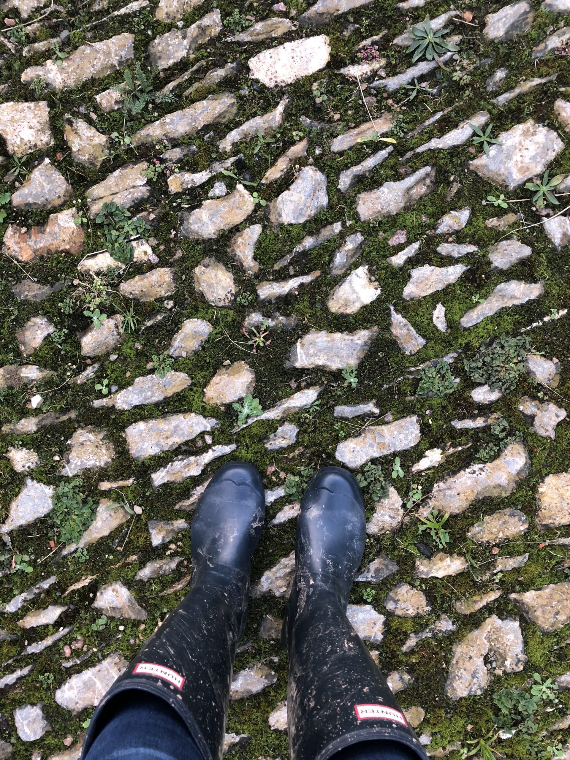5 Reasons I Love My Hunter Rain Boots -wellies (And the 3rd Giveaway)