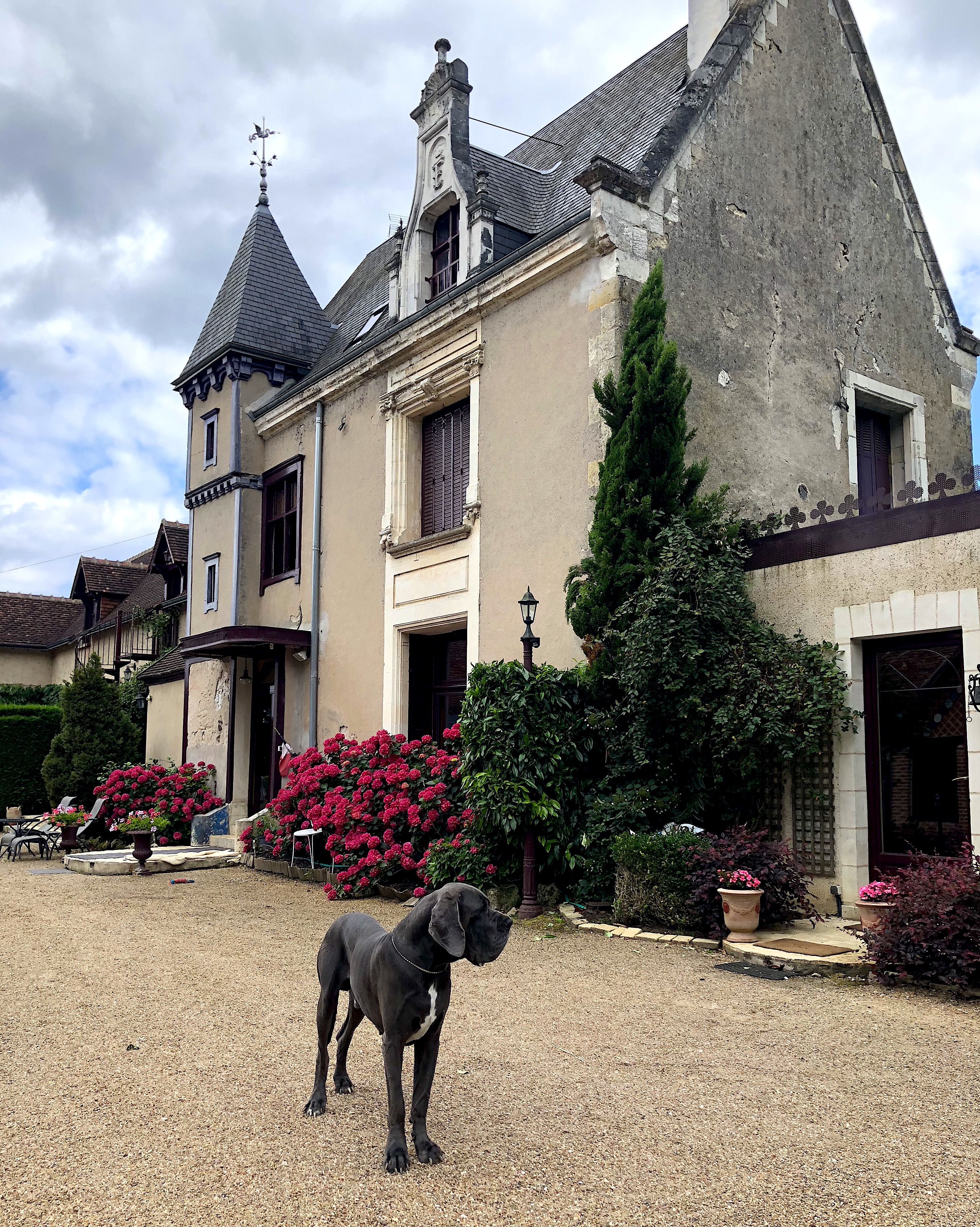 A Country B & B in the City of Amboise: Le Manoir de la Maison Blanche