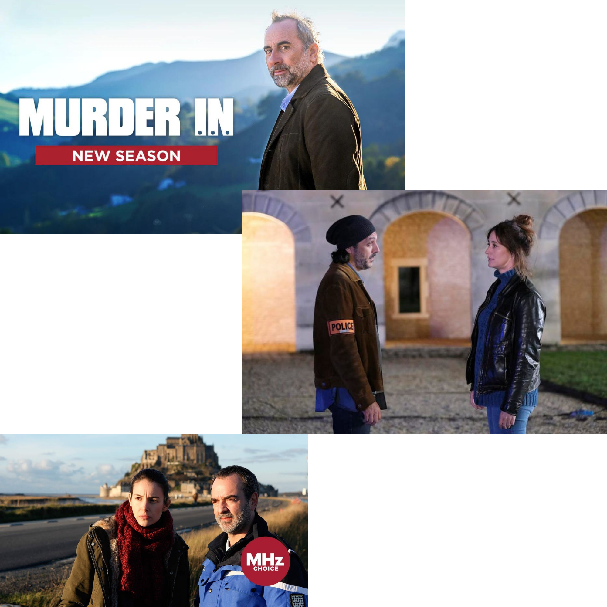 Murder In . . . (French mystery series), petit plaisir #323