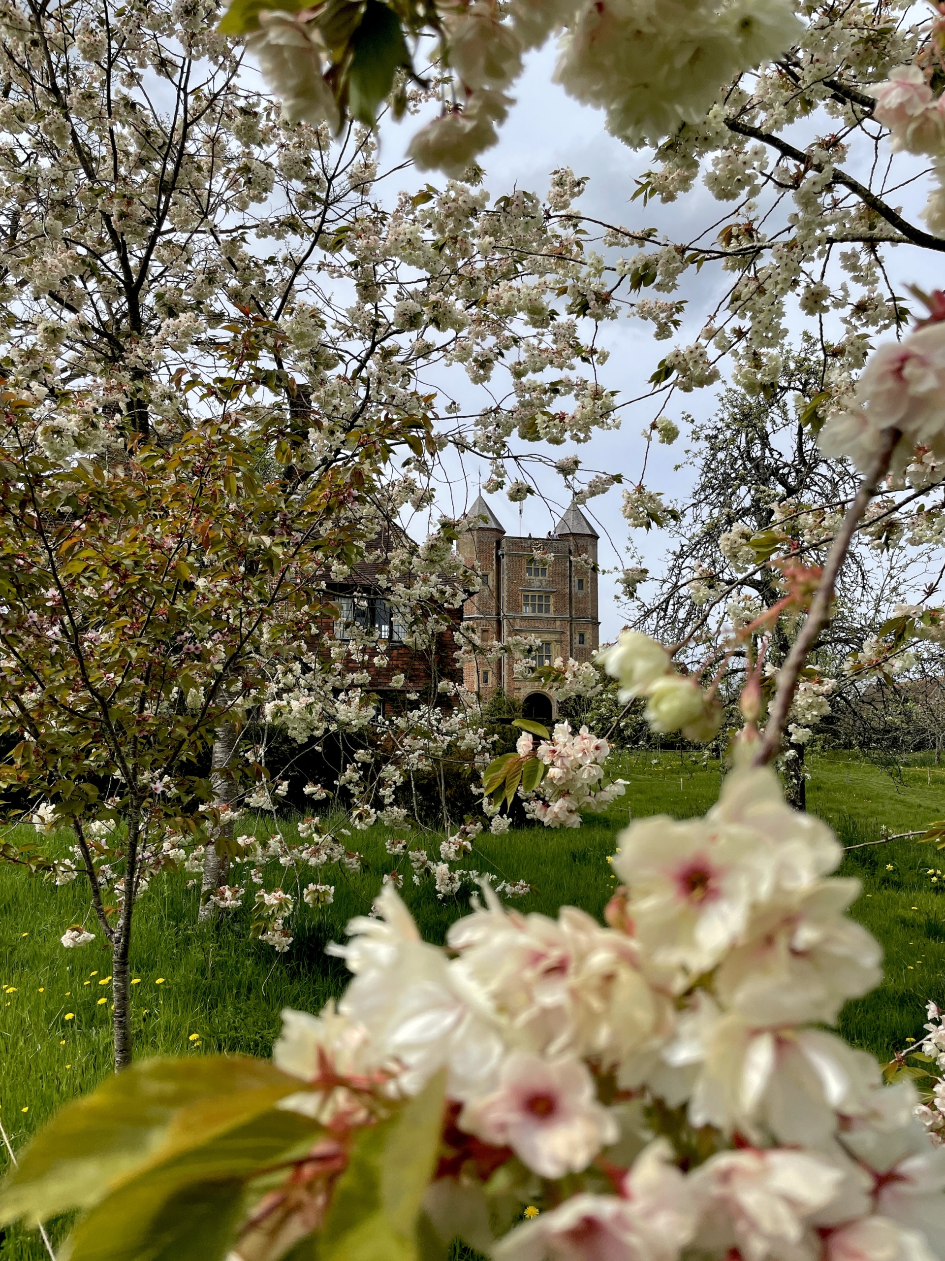 Spending the Afternoon at Sissinghurst Castle Garden in the Spring