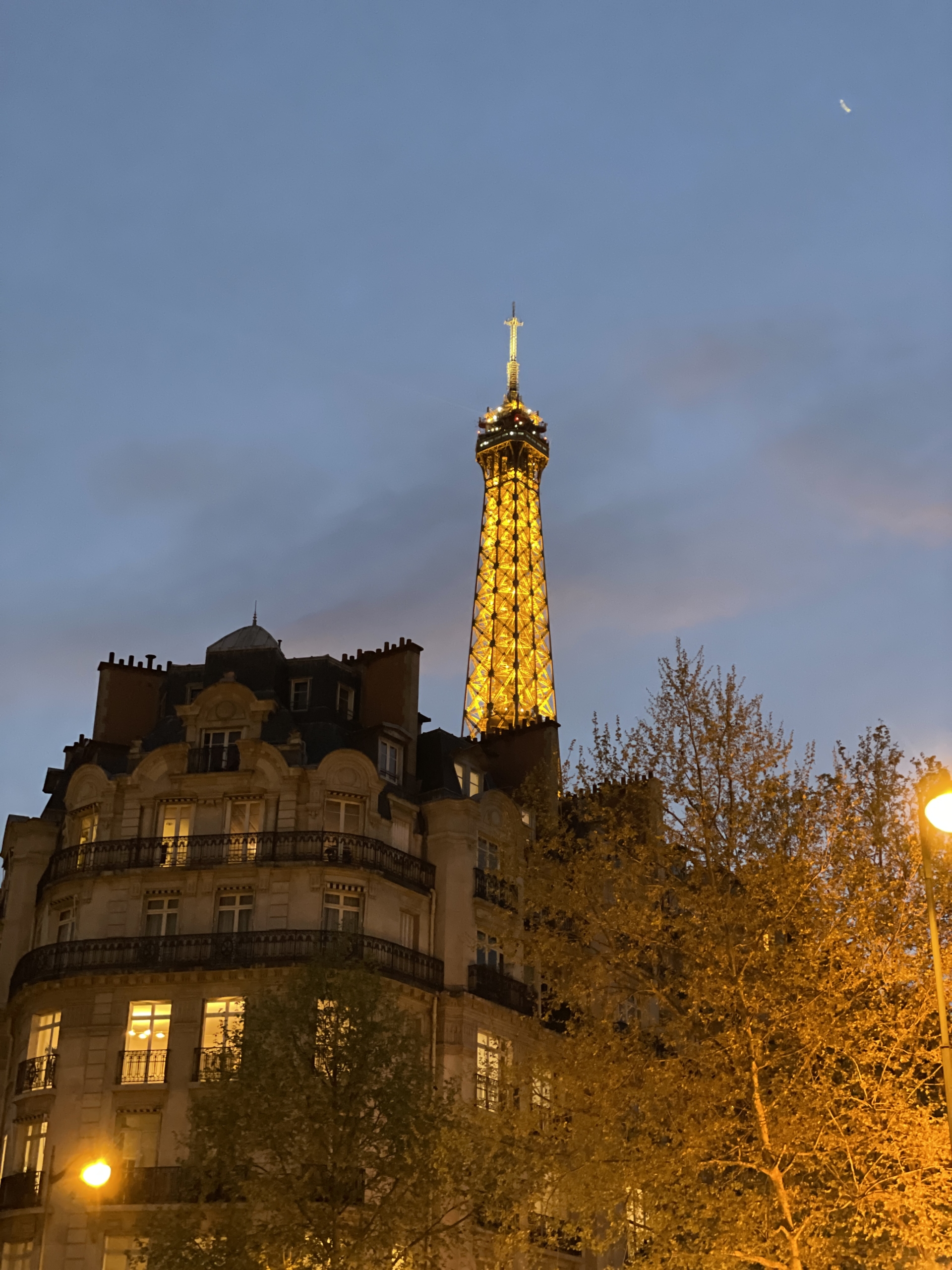 Dinner in Paris w/TSLL — March 2025