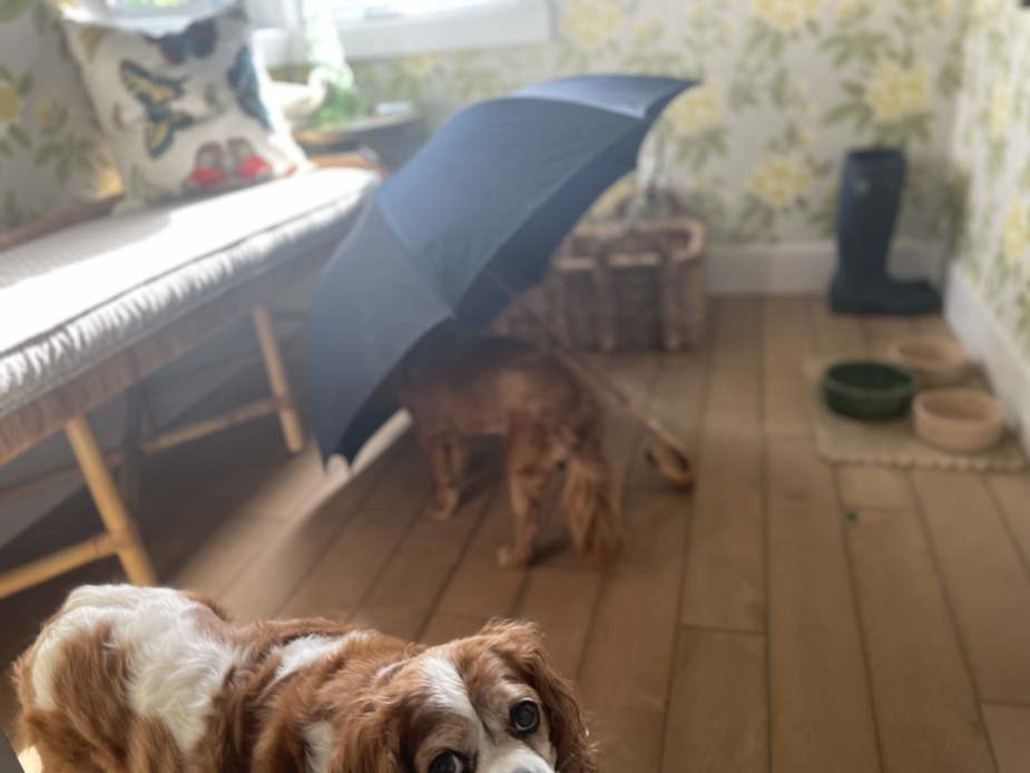 James Smith & Sons Umbrellas, a British Institution keeping customers in style and dry since