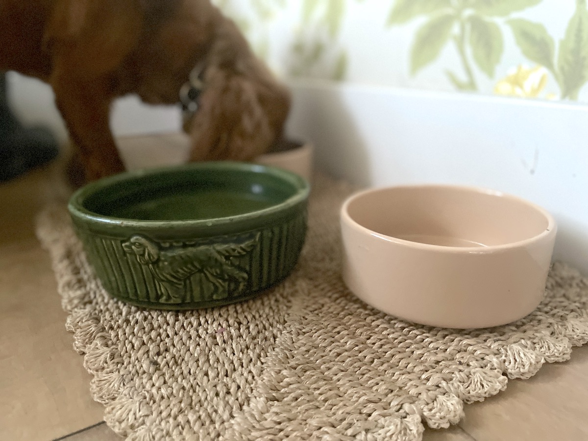 My Favorite Pet Dish: Mason Cash’s Ceramic Cane Bowls, the 3rd Giveaway