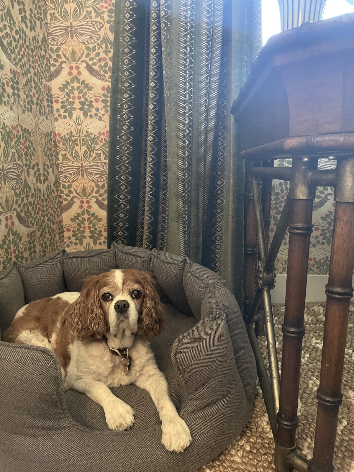 Lords & Labradoodles High Wall Herringbone Tweed dog bed