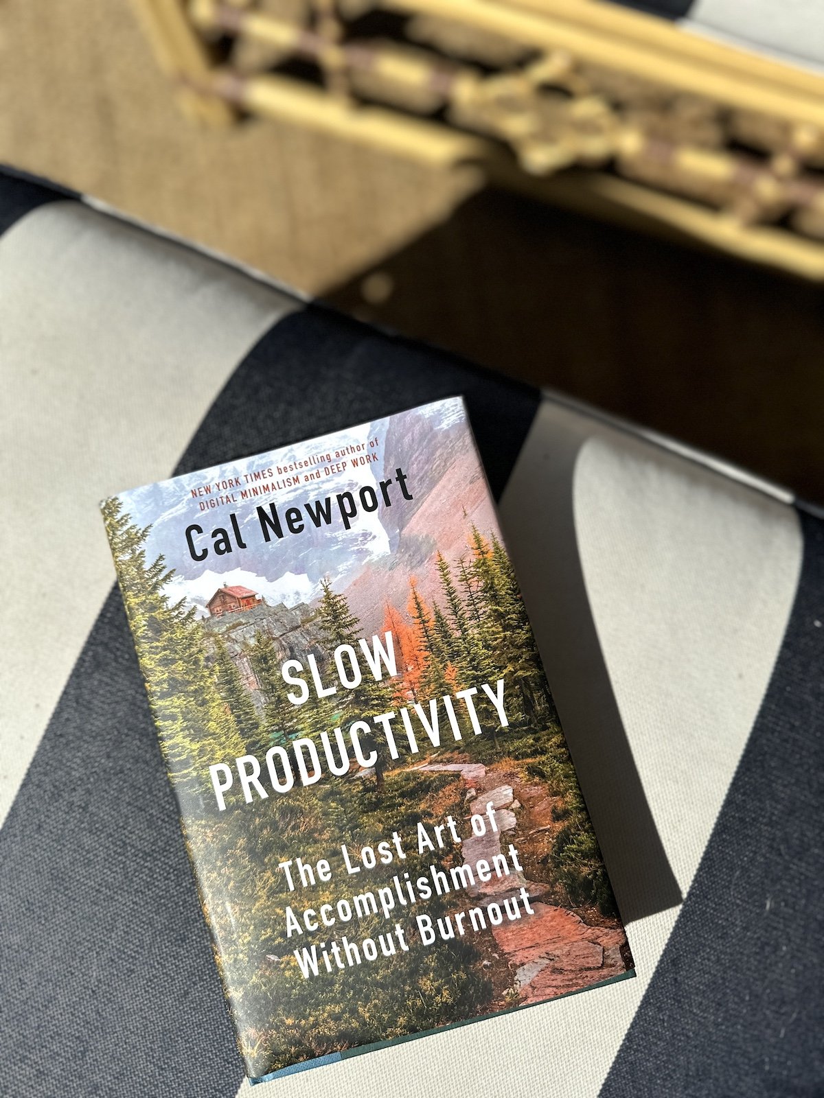 377: The Slow Productivity Approach that will Elevate the Quality of Your Entire Life, as taught by Cal Newport