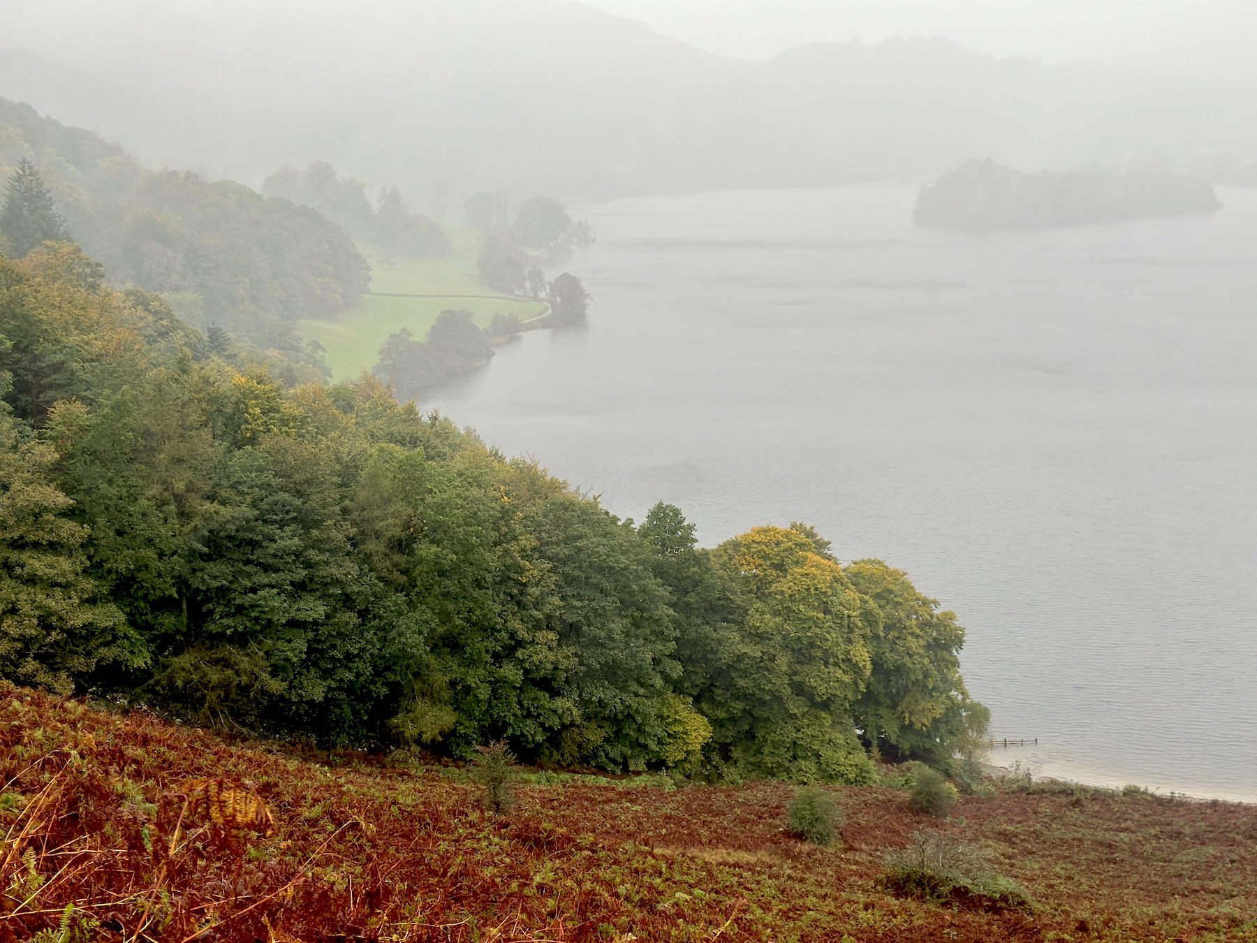 How to Navigate the Foggy Middle (and why it occurs)