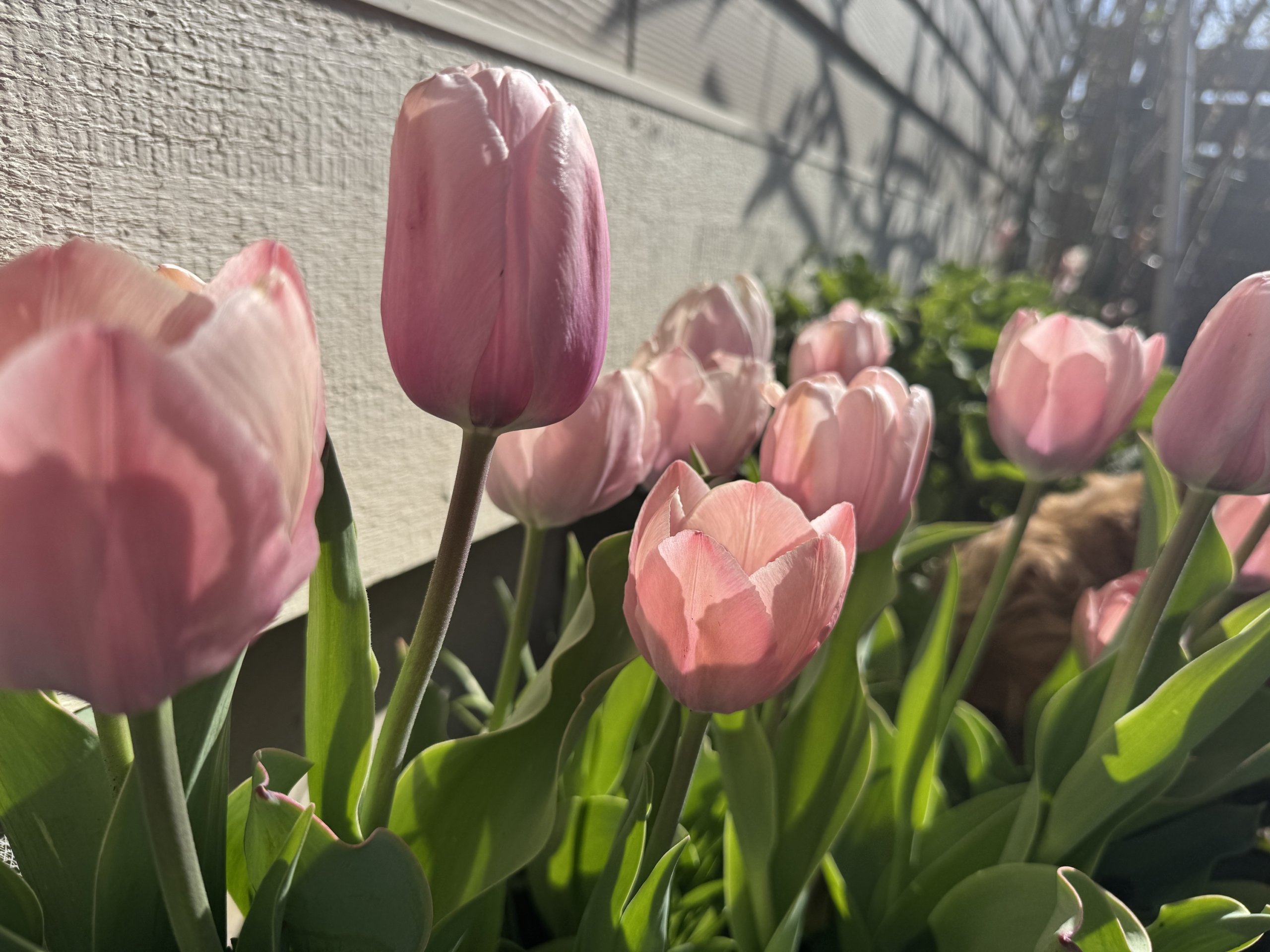 This & That: April 18, 2025