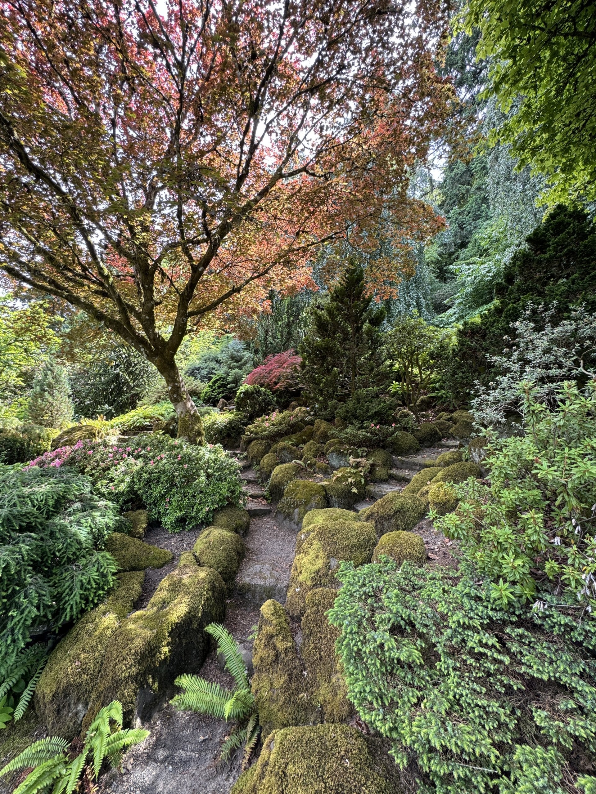 Elkrockgardenverticalshadeentrancegorgeous