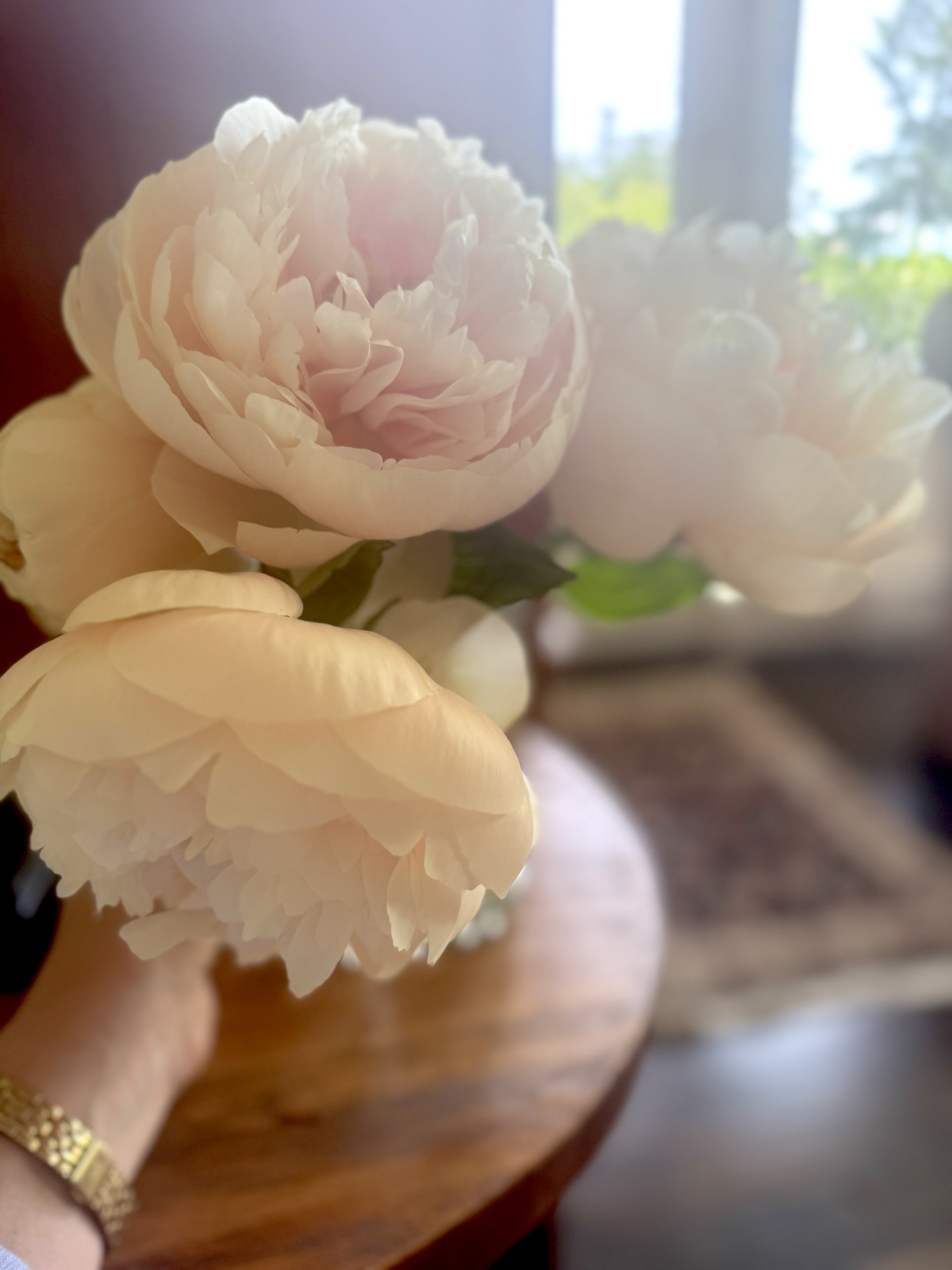 Pastelelegancecottagegardenrental