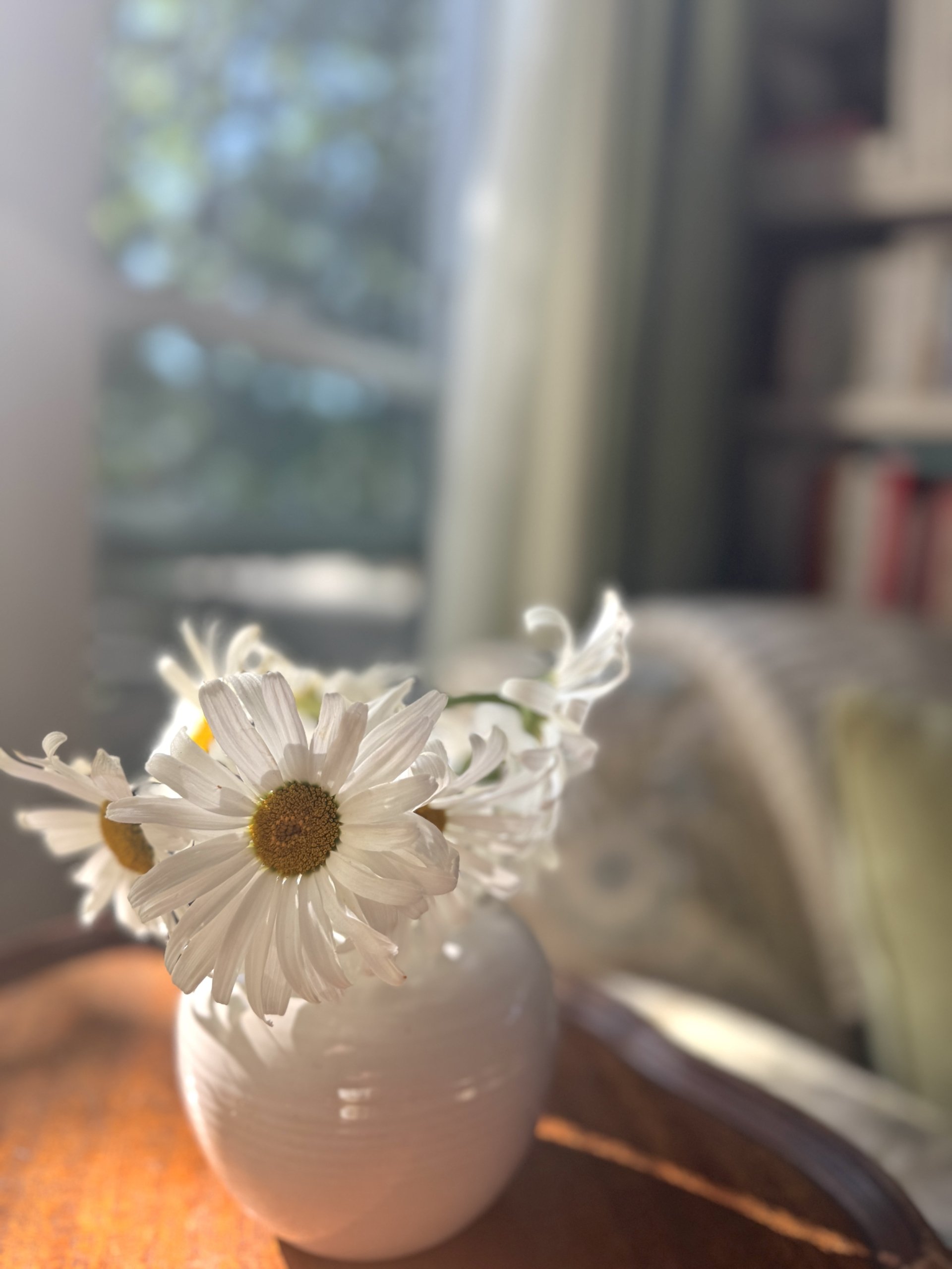 8 July Ponderings . . .