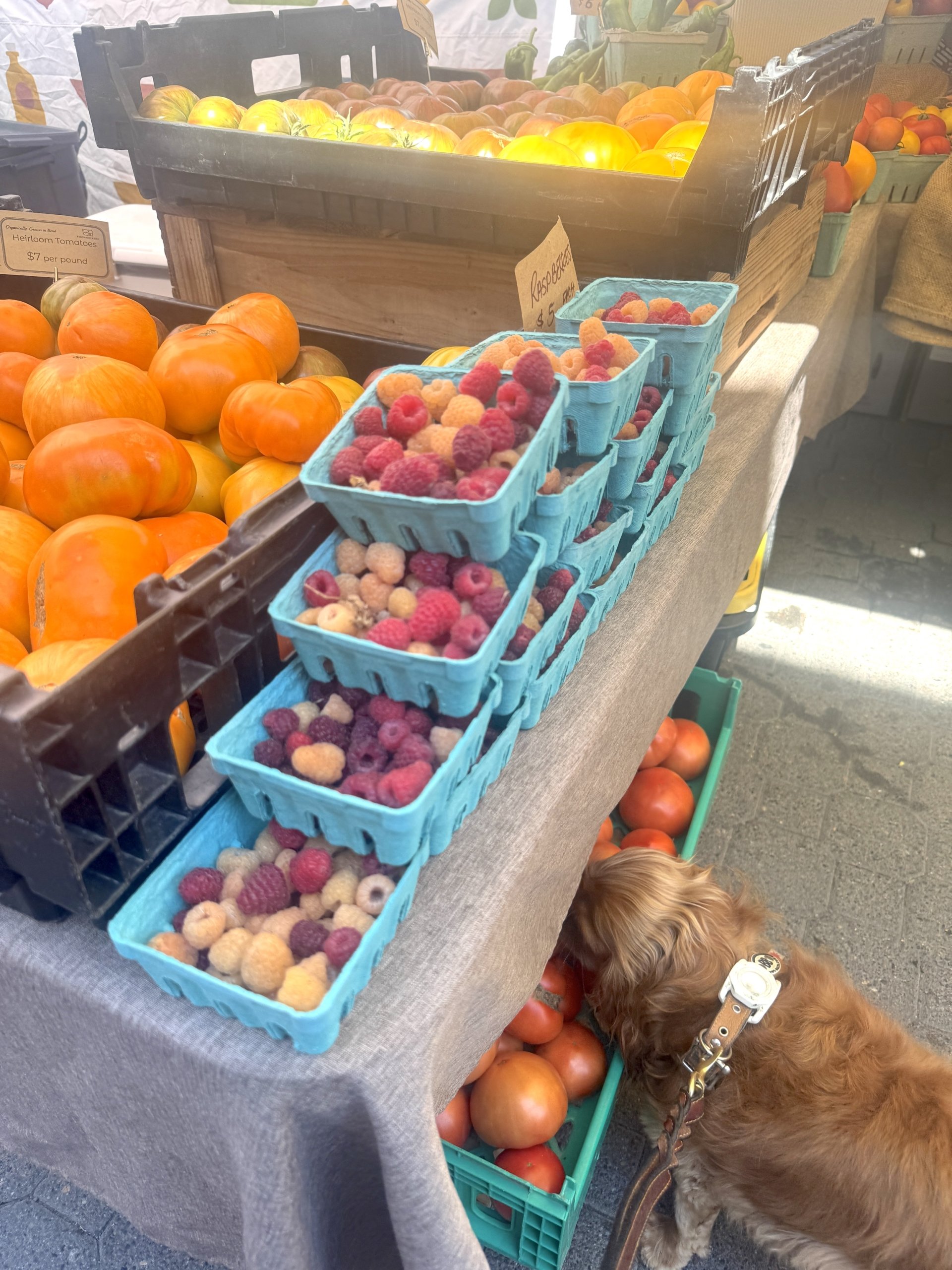 Nelletomatoshoppingfarmersmarket
