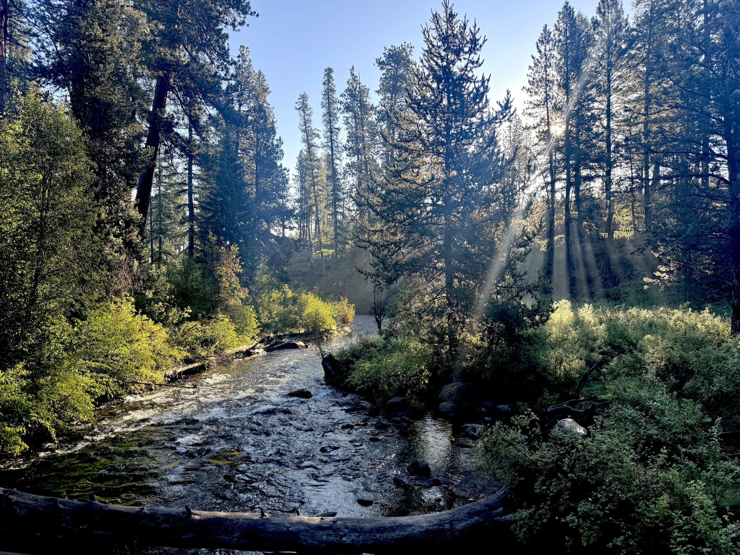 Morningsunshinetumalocreekaugust25