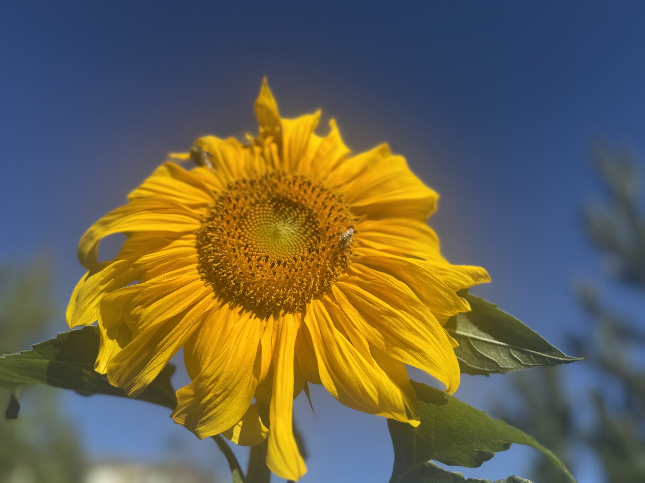 10 Things That Made Me Smile This Month, So Far . . . (August 2025)