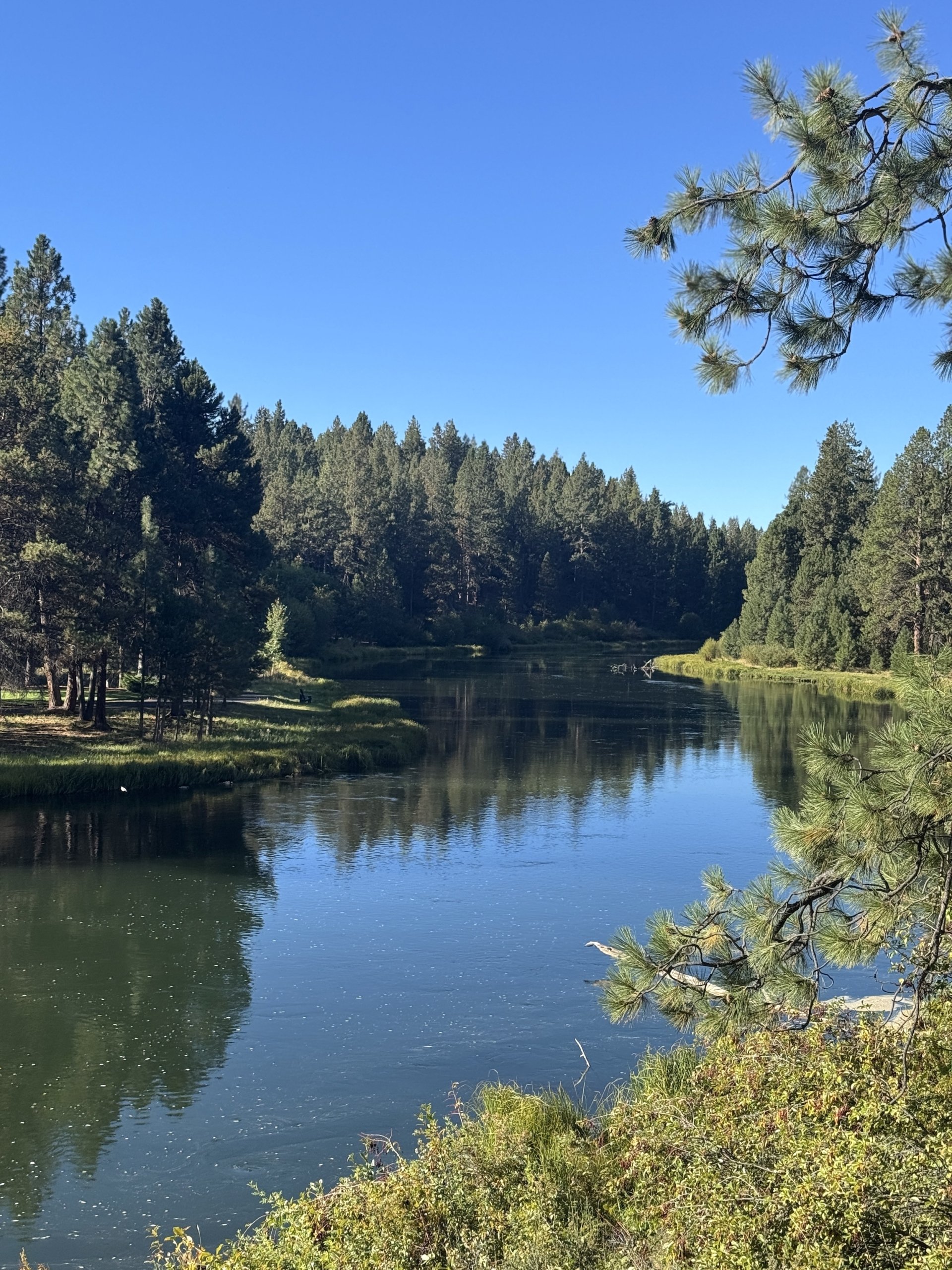 Upperdeschutesmeadowsept25