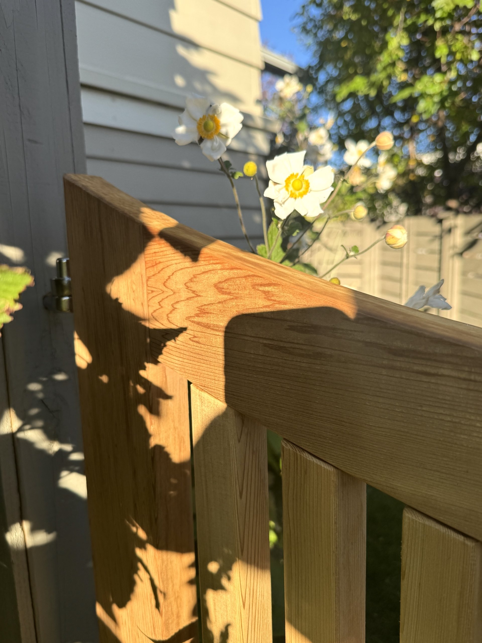 Afternoonhingerightsidecloseuphonorine