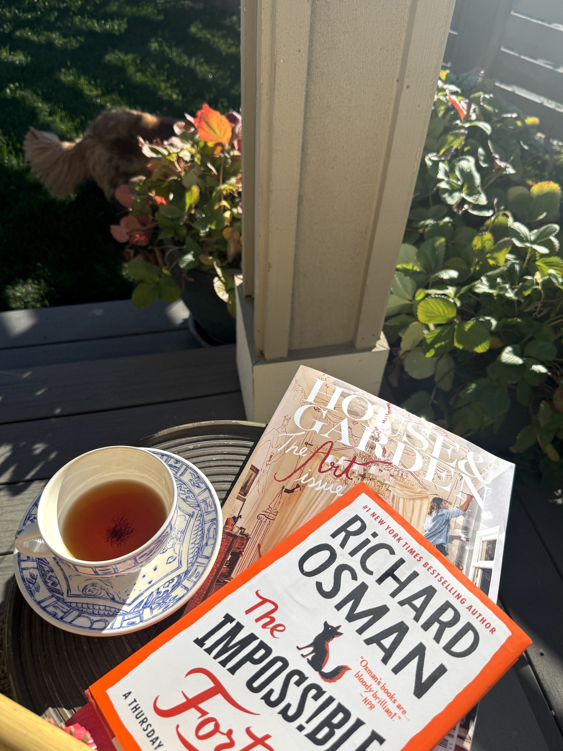 Eveningreadingporchteacupstrawberrybushesnelletail