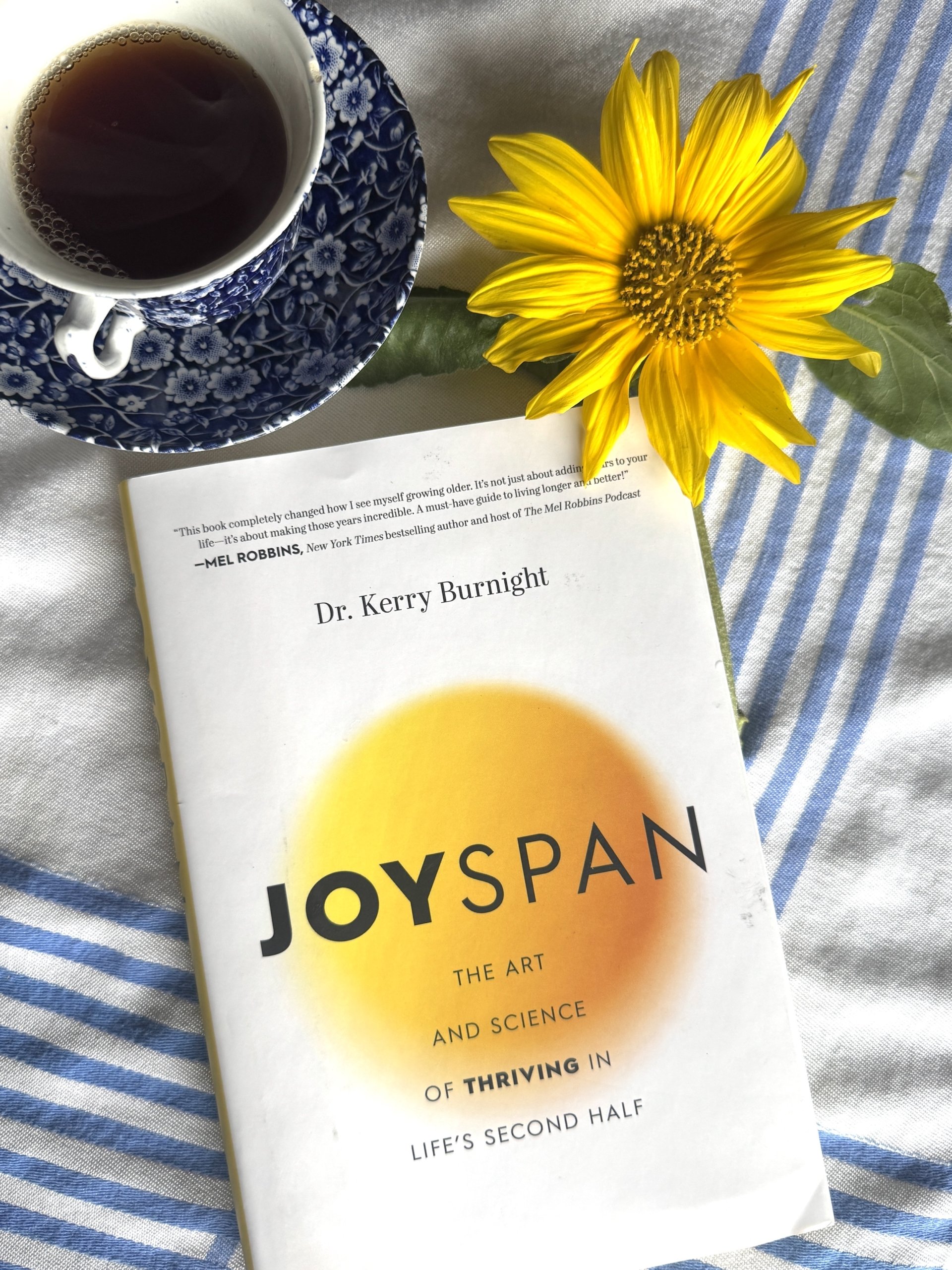 411: How to Deepen Your ‘Joyspan’ which will Lengthen Your Lifespan and Elevate the Quality of Your Entire Life