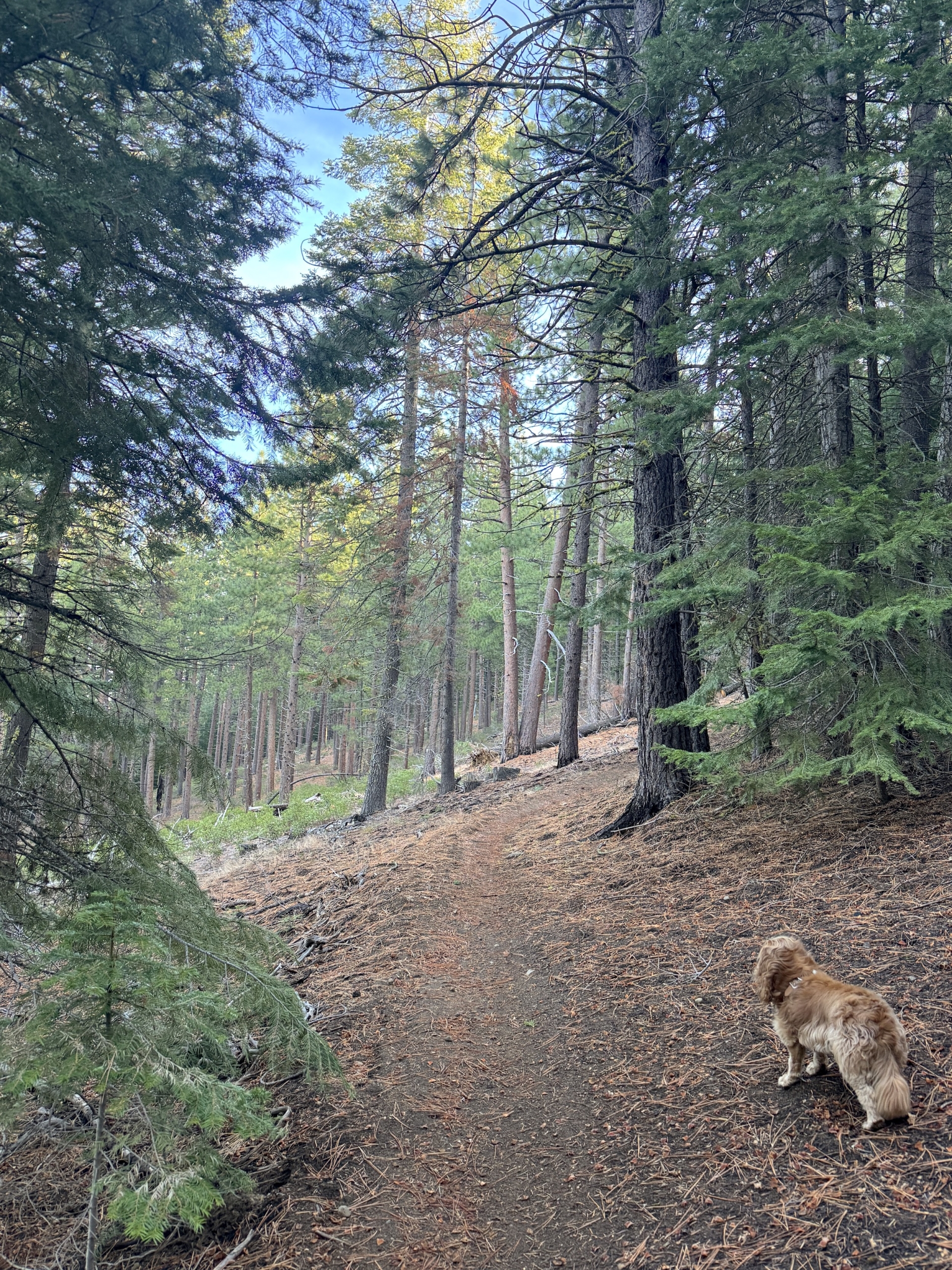 8 Simple Ways to Boost Our Well-Being and Eliminate Suffering