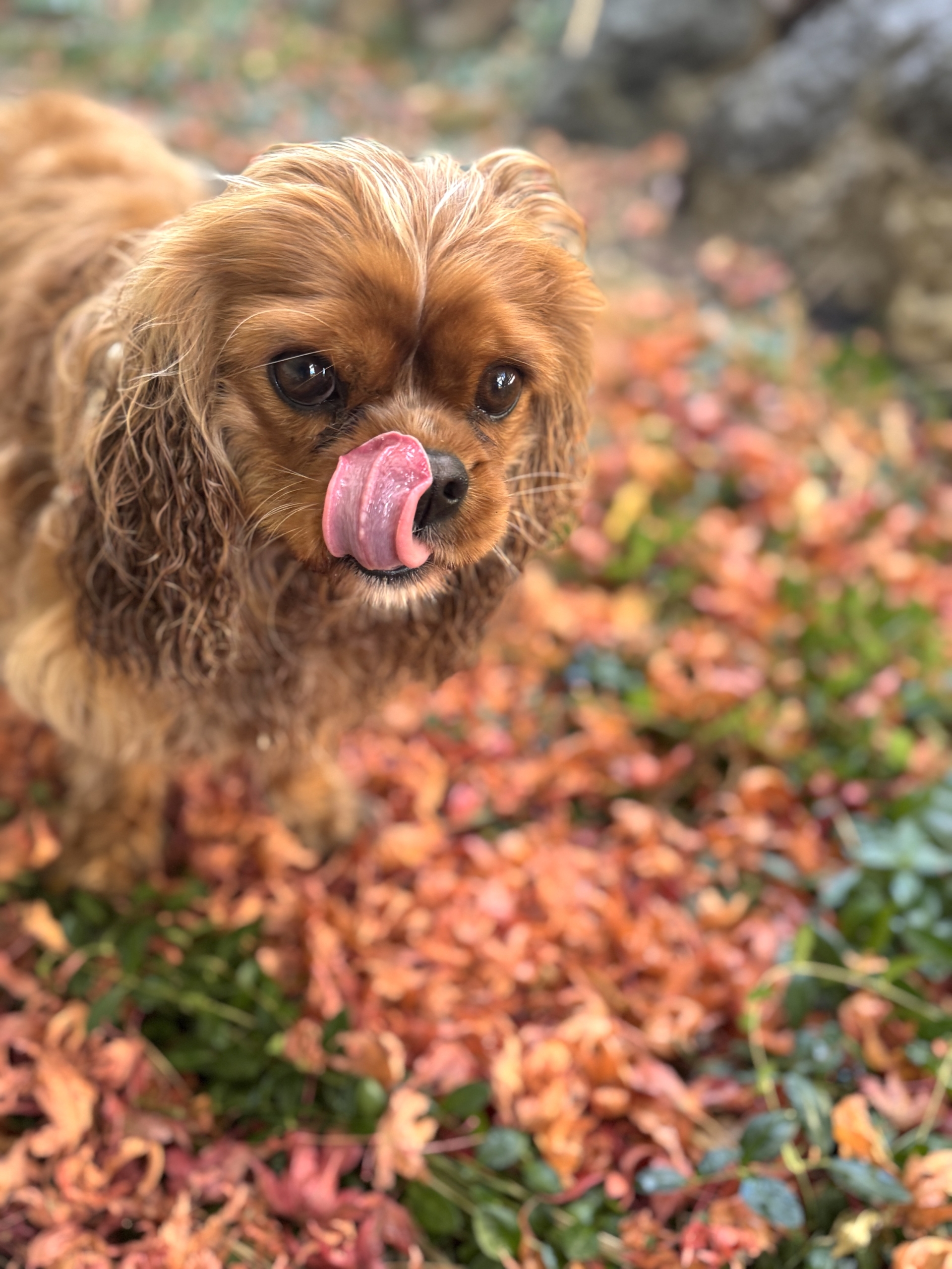 This & That: November 28, 2025 (+Black Friday Sales’ list)