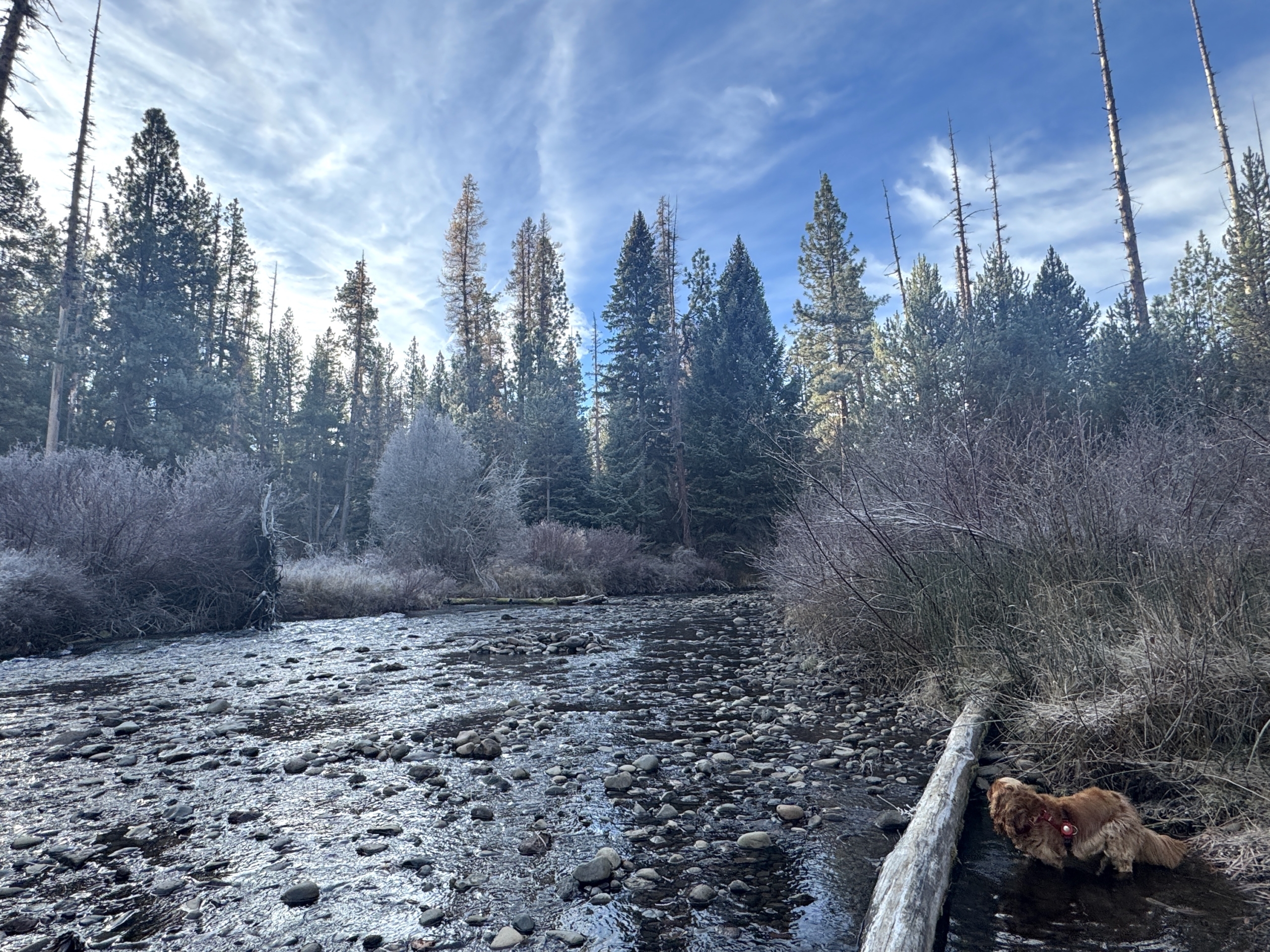 Nelletumaloriverblueskynov25late