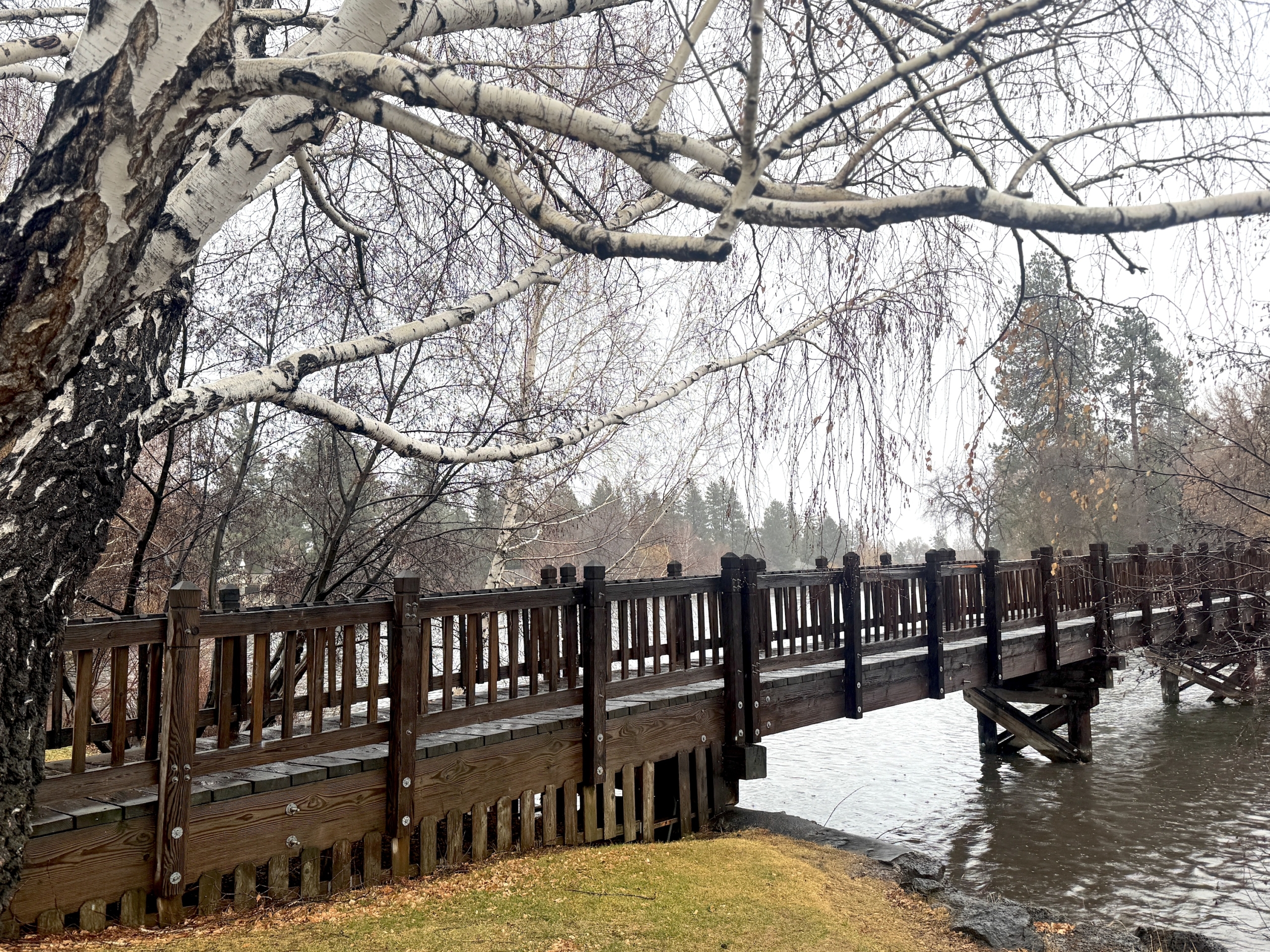 This & That: December 19, 2025 (the last T&T of the year!)