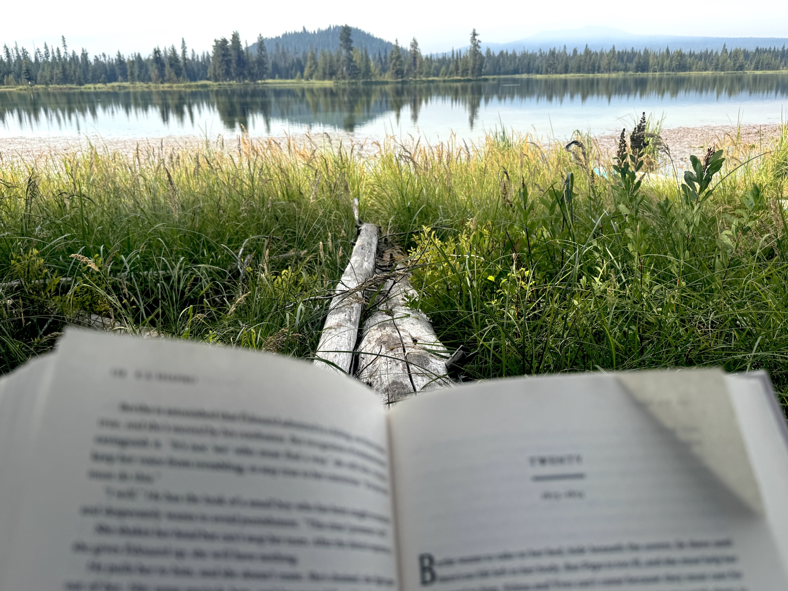 Bookhorizontalhosmergrasslake