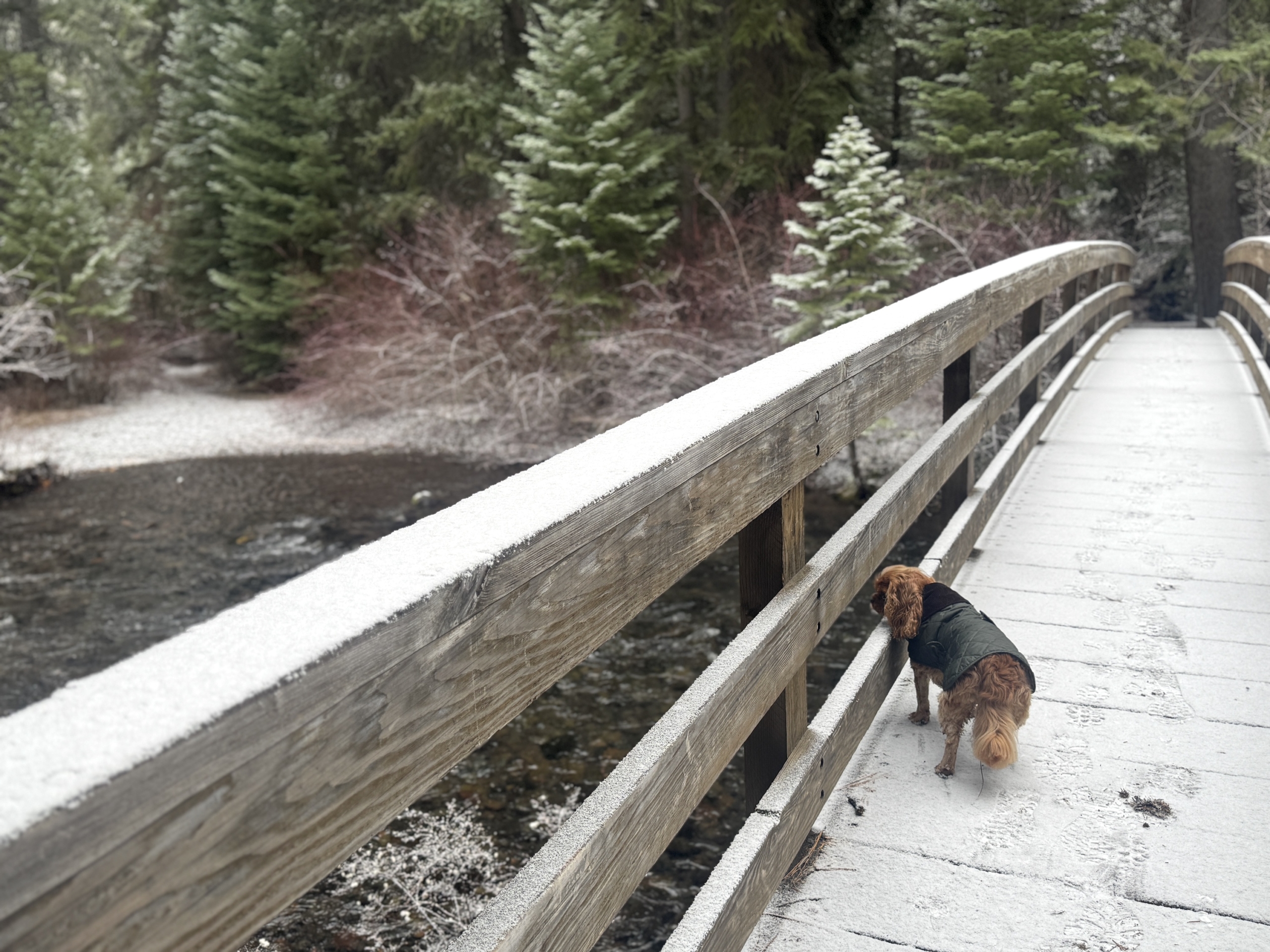 This & That: December 5, 2025