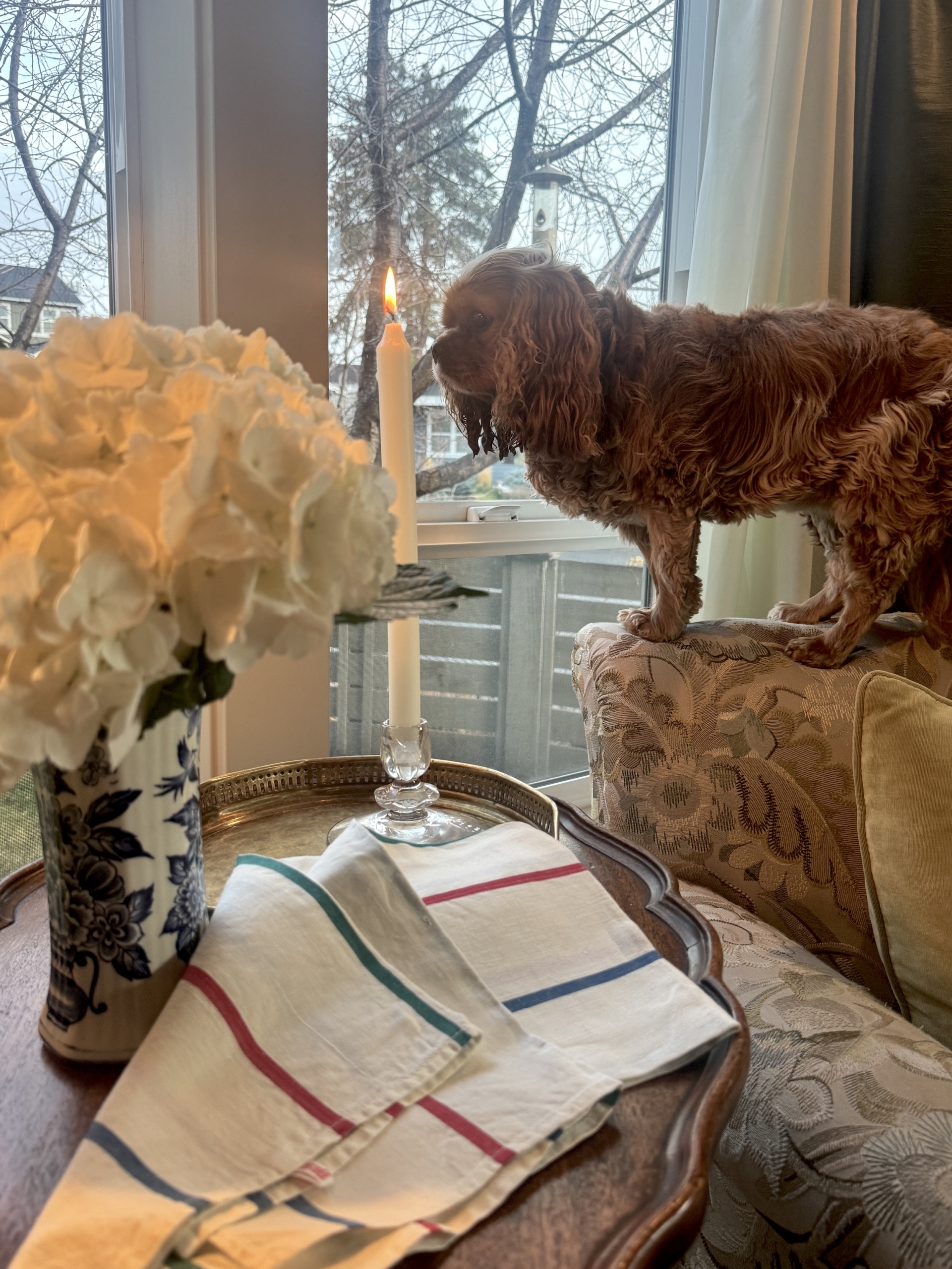 Nellecandlechairatopwinter