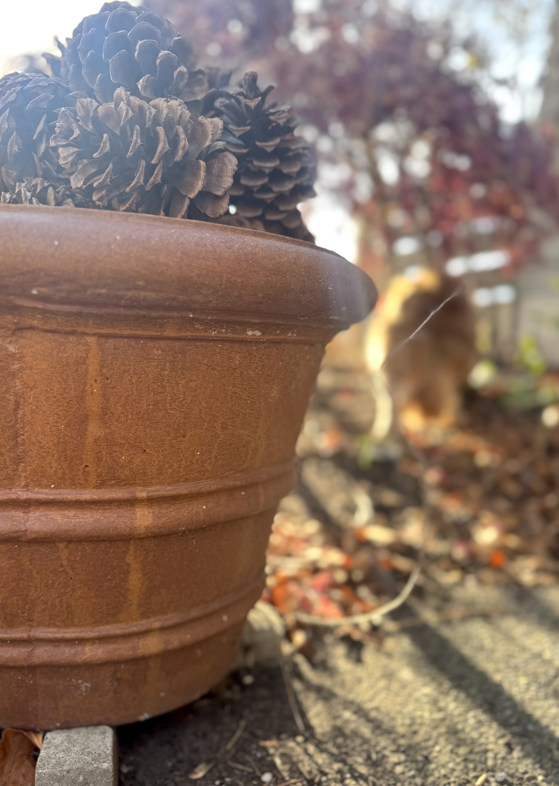 This & That: December 12, 2025