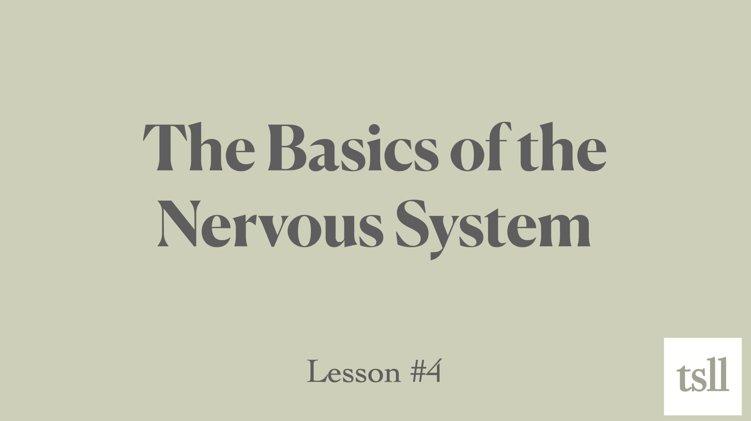 Part 6B: The Basics of the Nervous System (8:40)