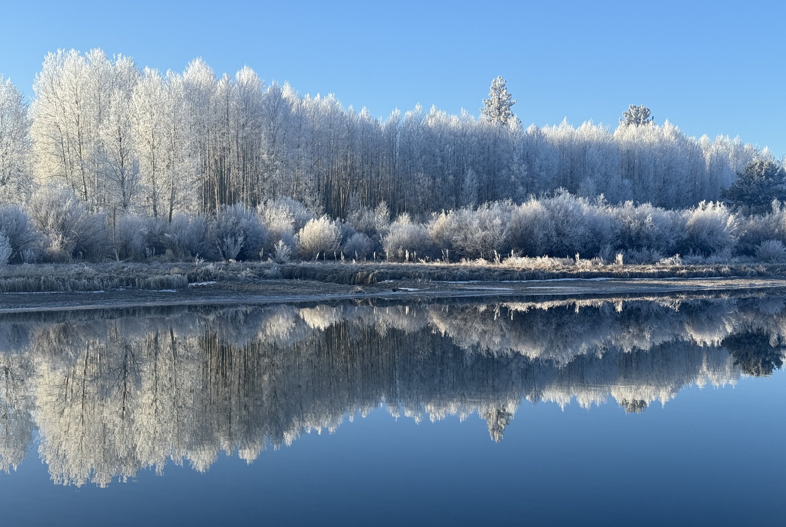 This & That: January 23, 2026