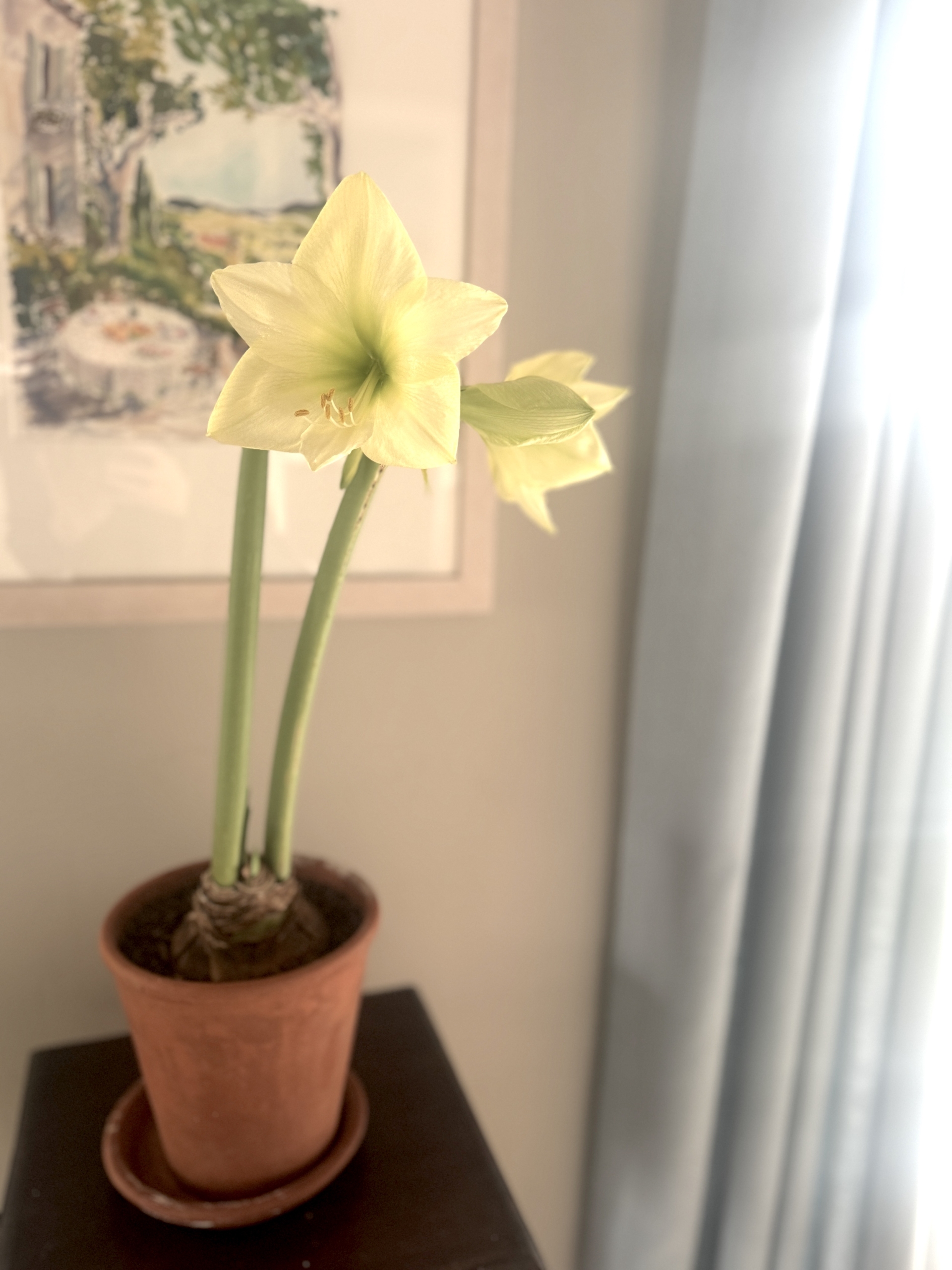 This & That January 2, 2026