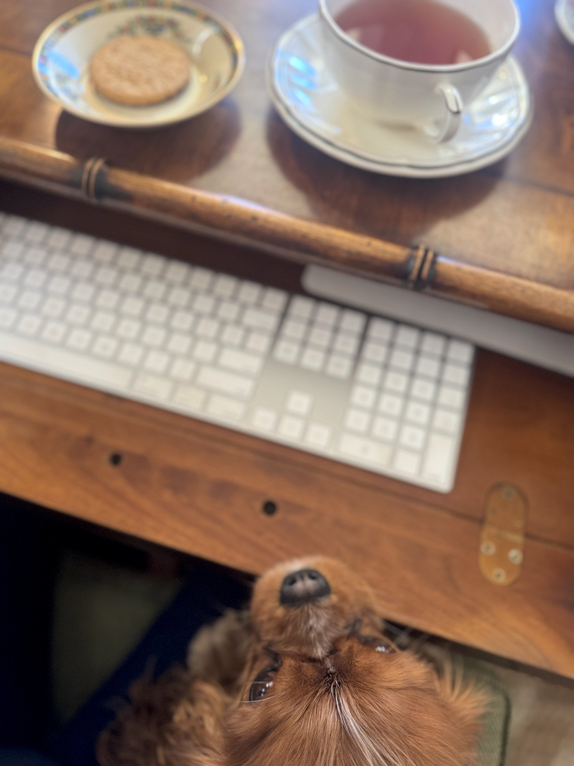 This & That January 16, 2026