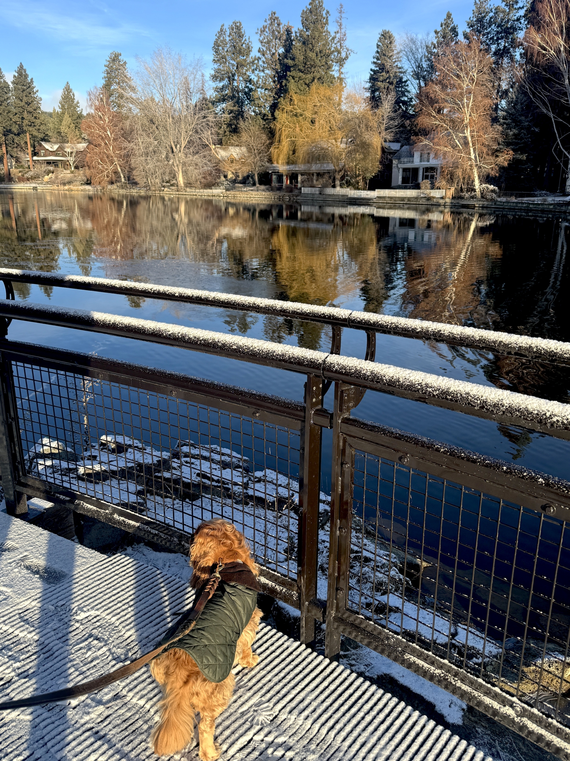 This & That: January 9, 2026