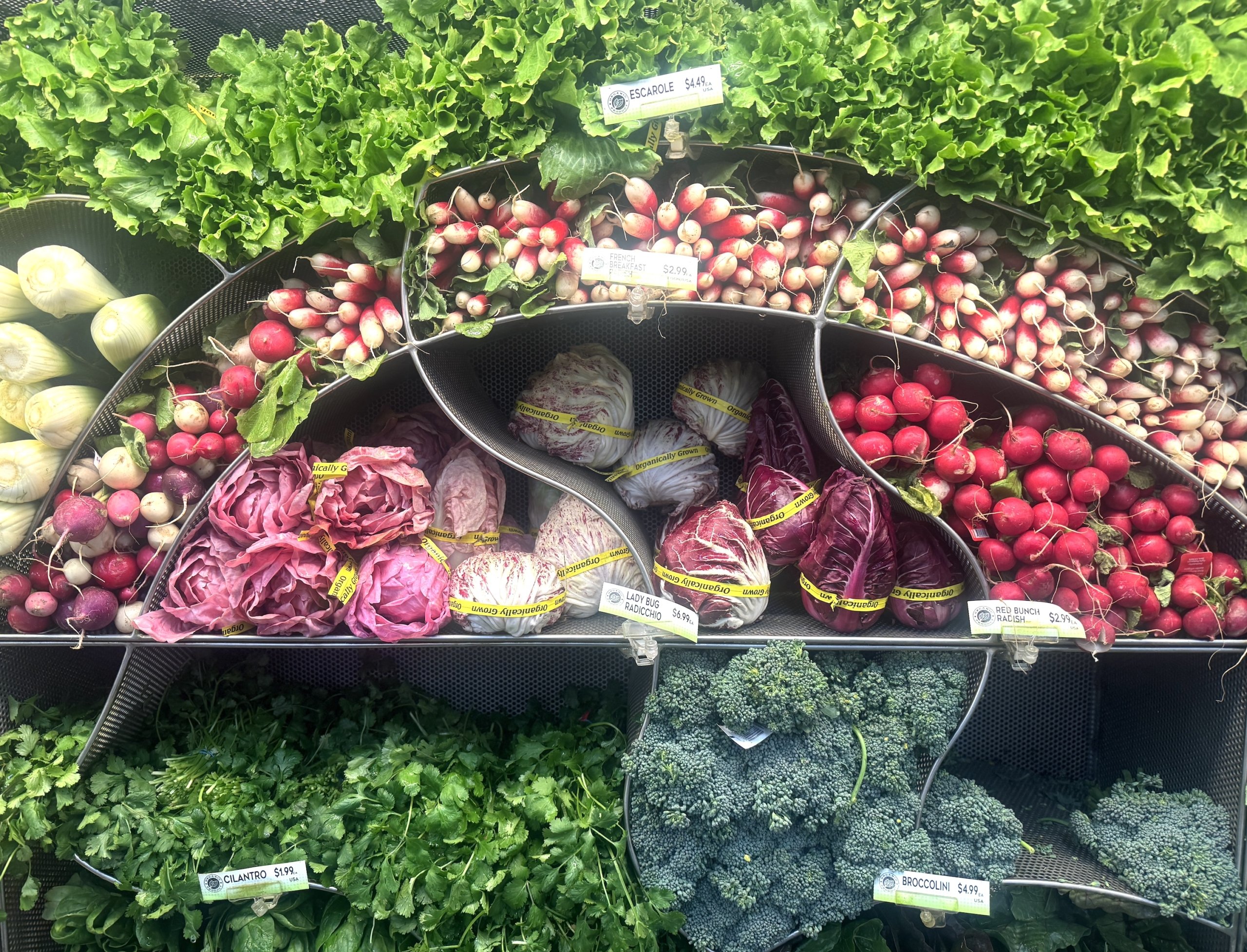 This & That: January 30, 2026