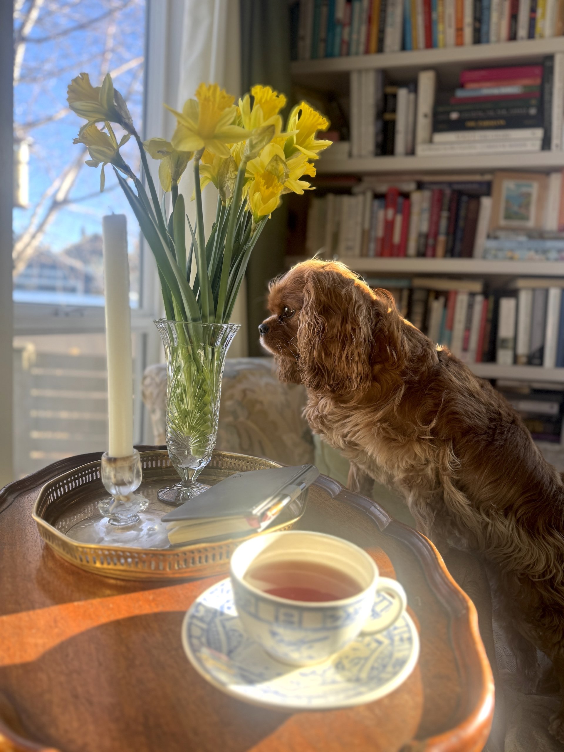 This & That: February 13, 2026