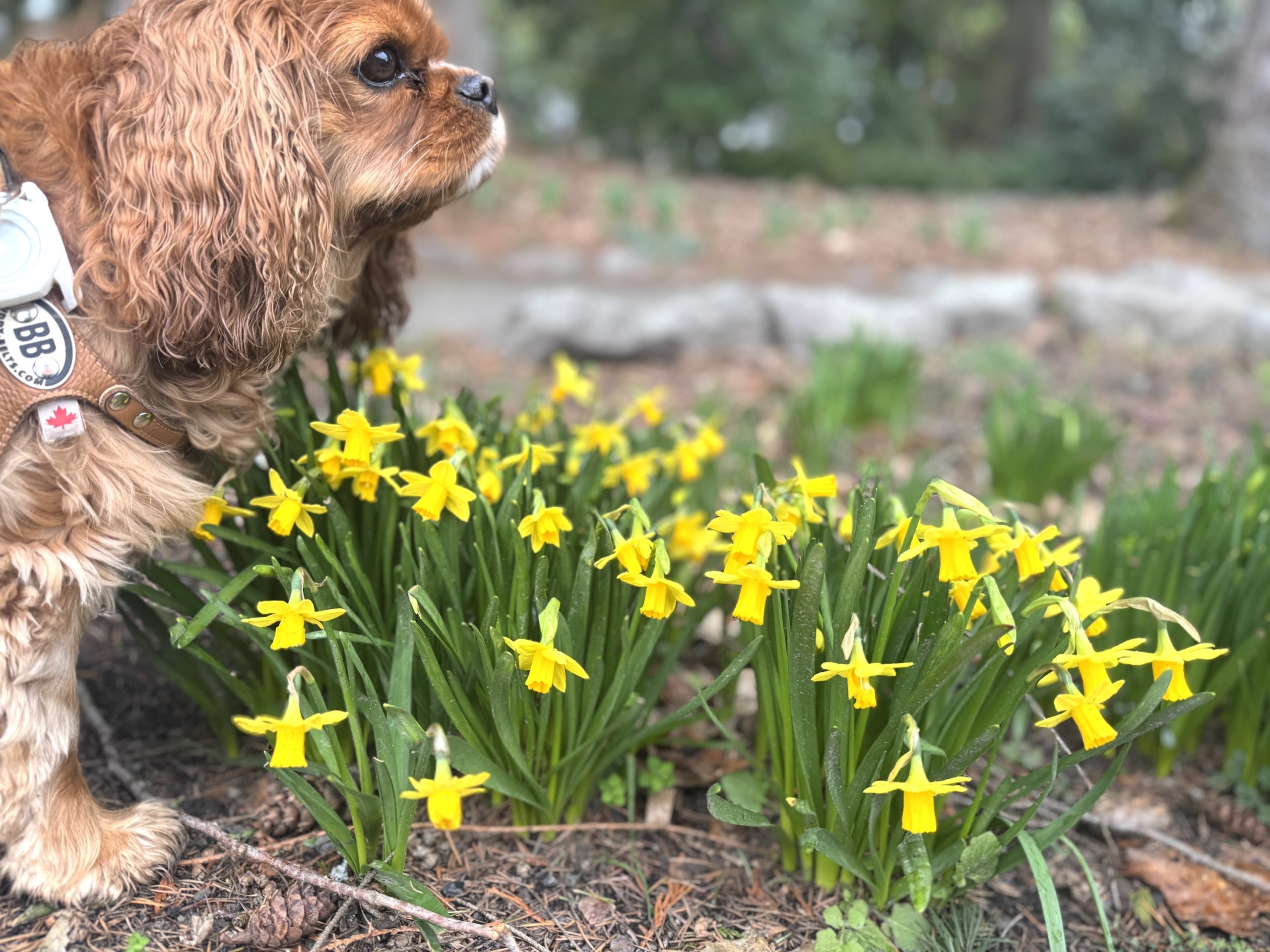 9 Things That Made Me Smile This Month, So Far . . .