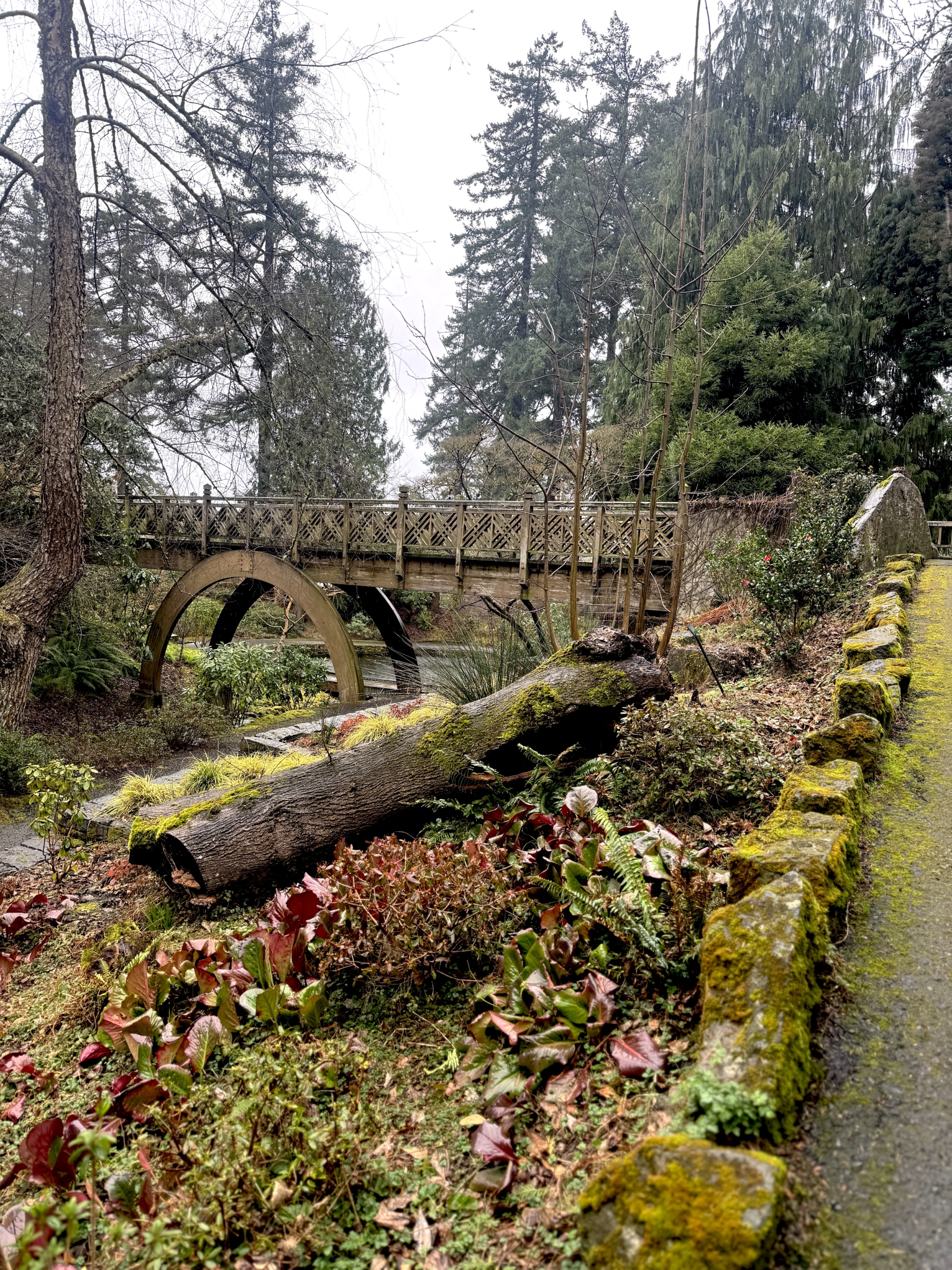 The Interim: The Bridge that Determines Our Eventual Destination