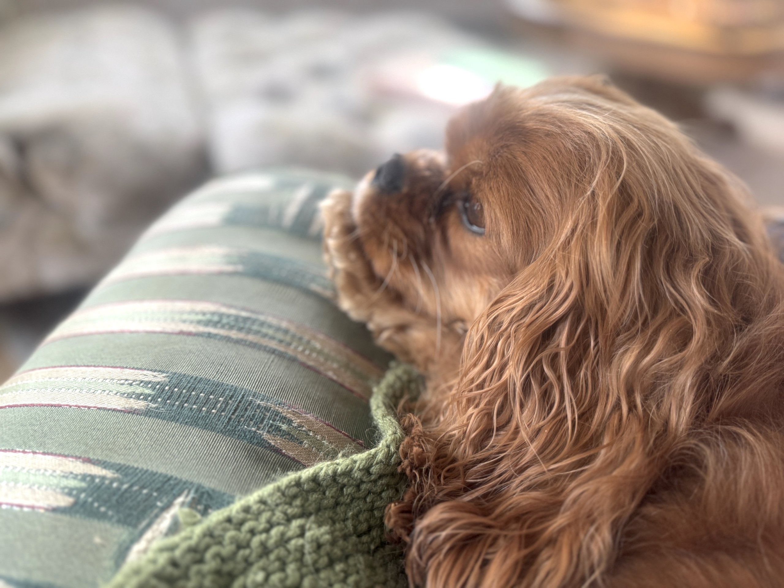 This & That: February 6, 2026