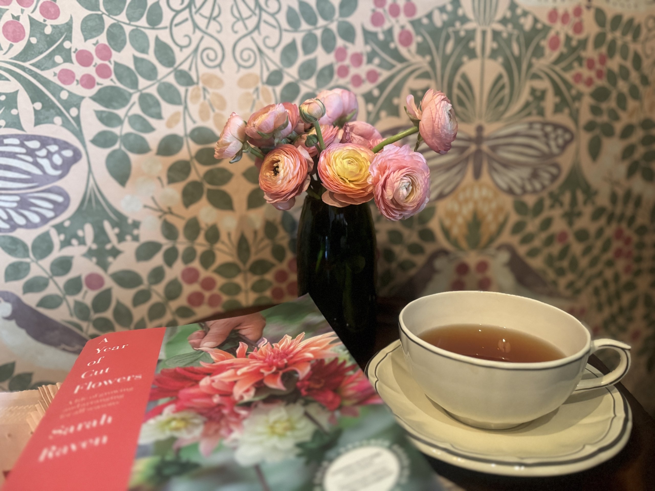 Officeranaculusteacupdahliabookoffice