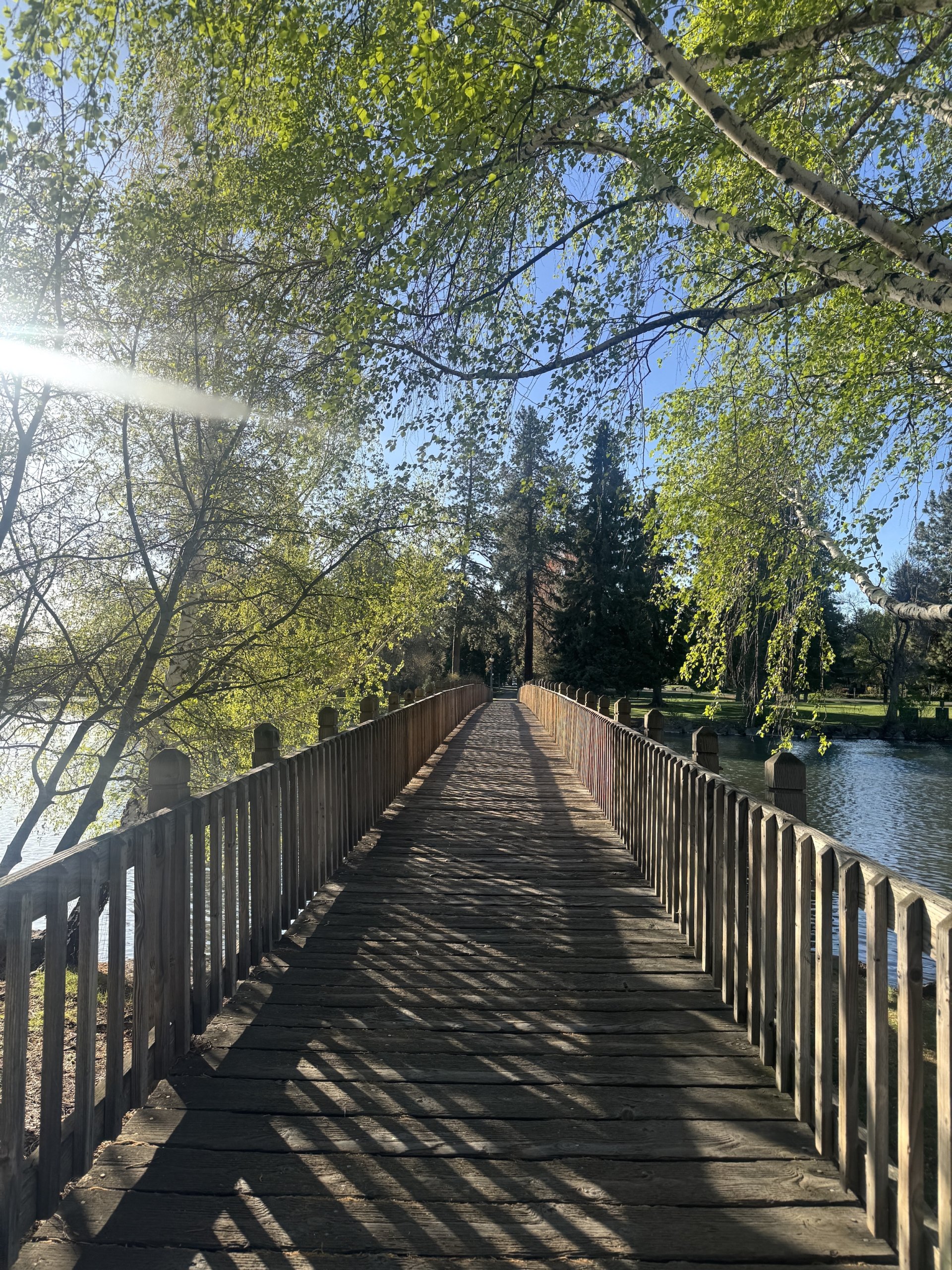 This & That: April 24, 2026