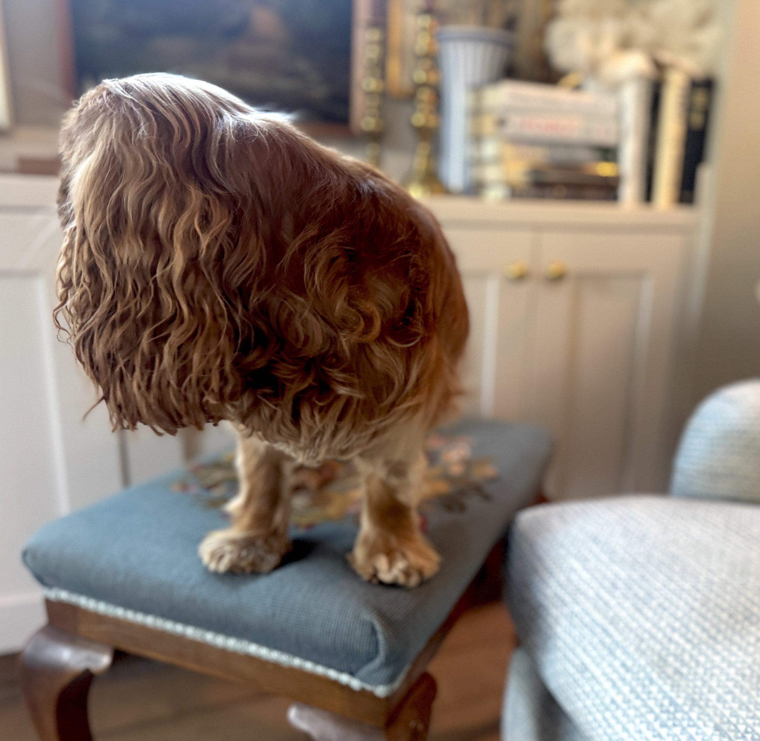 Nelleonbarneylookingaway