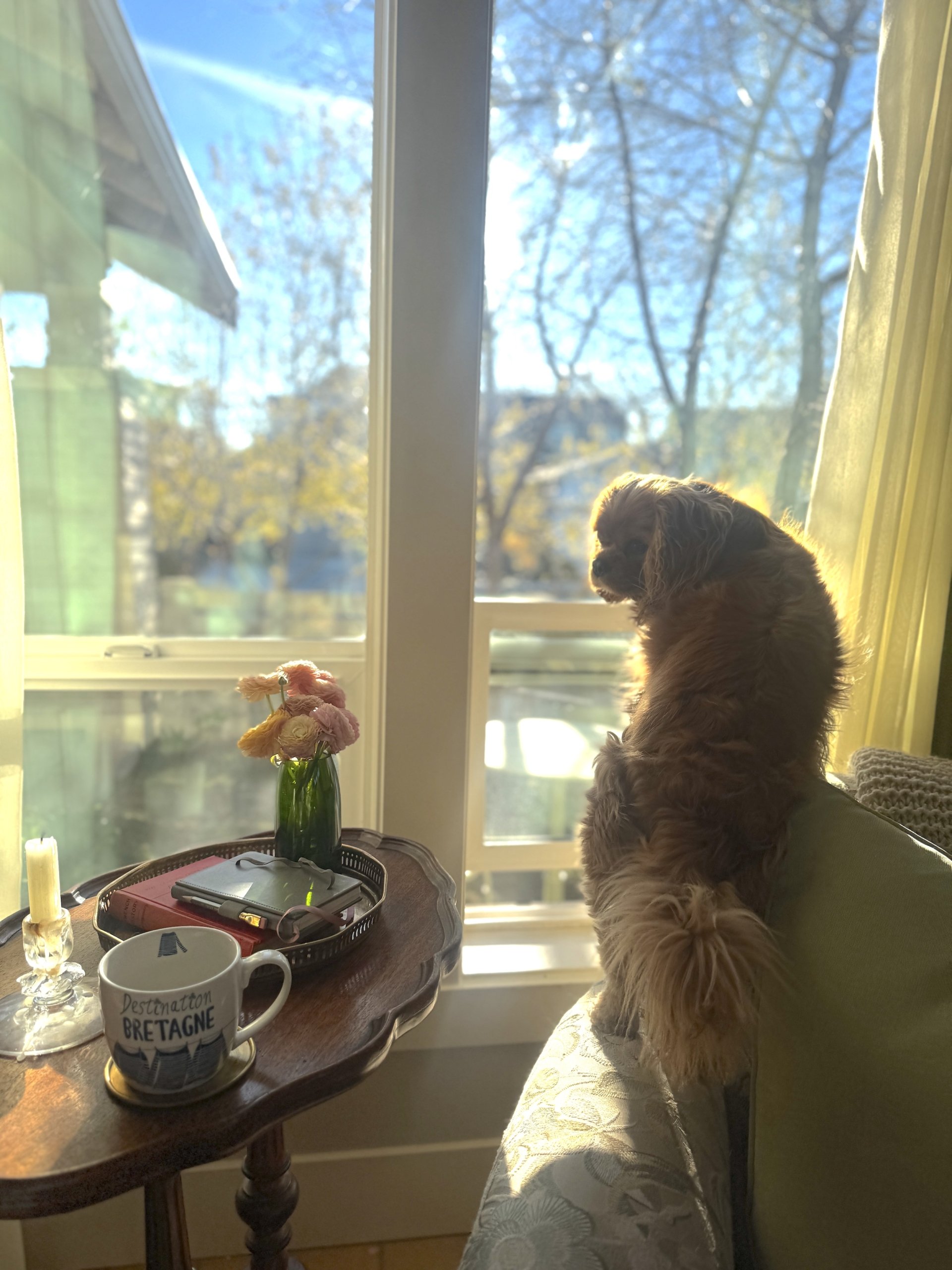 Anchoring: 19 Everyday Anchors for Calm and Confidence